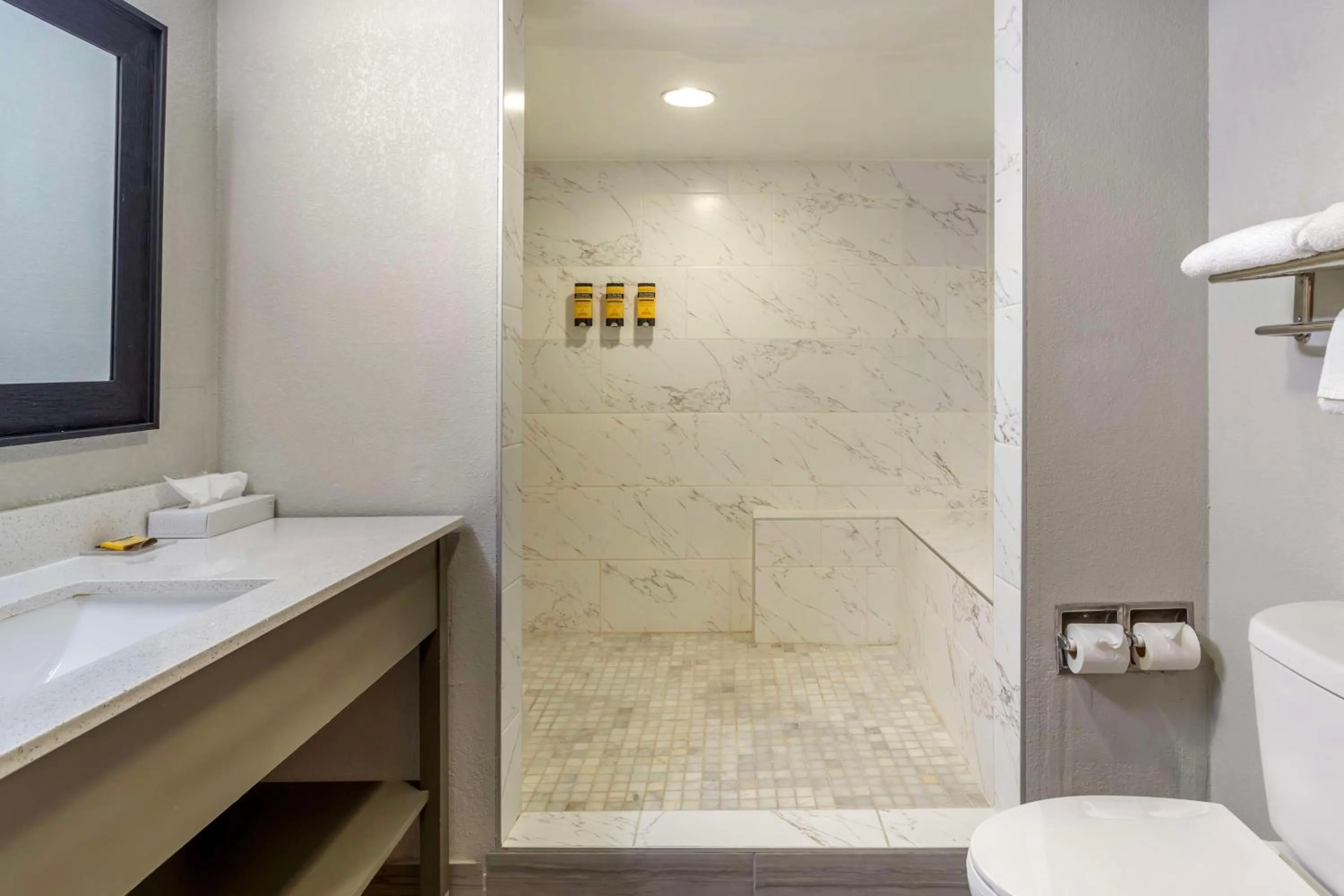 Bathroom in Best Western Plus Knoxville Cedar Bluff