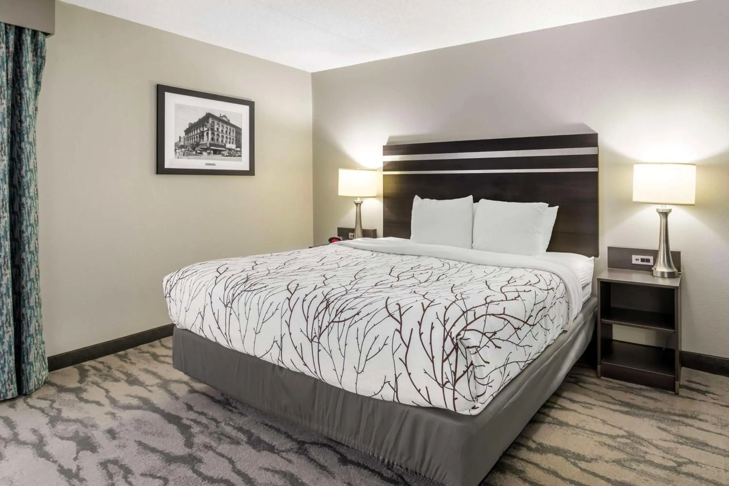 Photo of the whole room, Bed in Best Western Plus Knoxville Cedar Bluff Photo of the whole room, Bed in Best Western Plus Knoxville Cedar Bluff