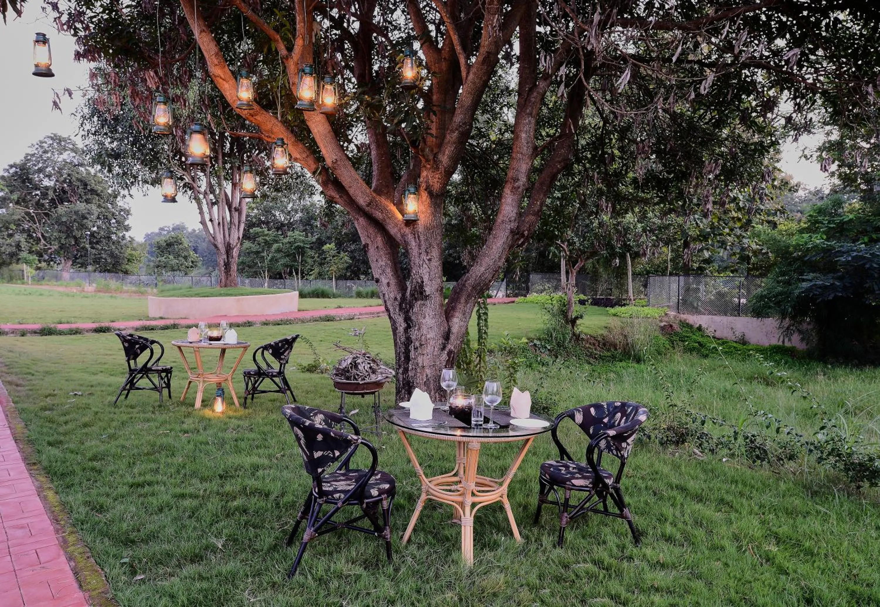 Food in Sterling Kanha