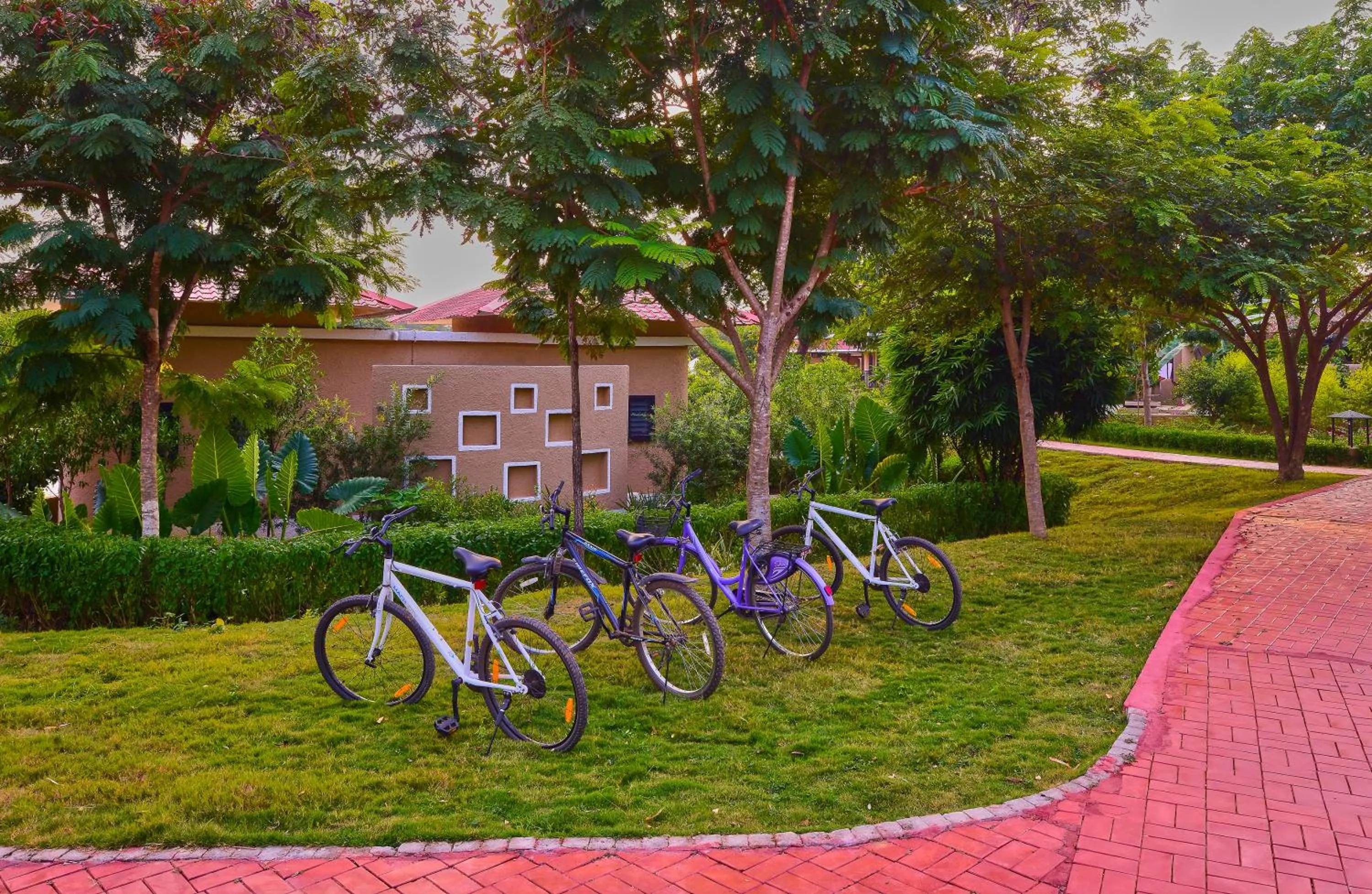 Sports in Sterling Kanha