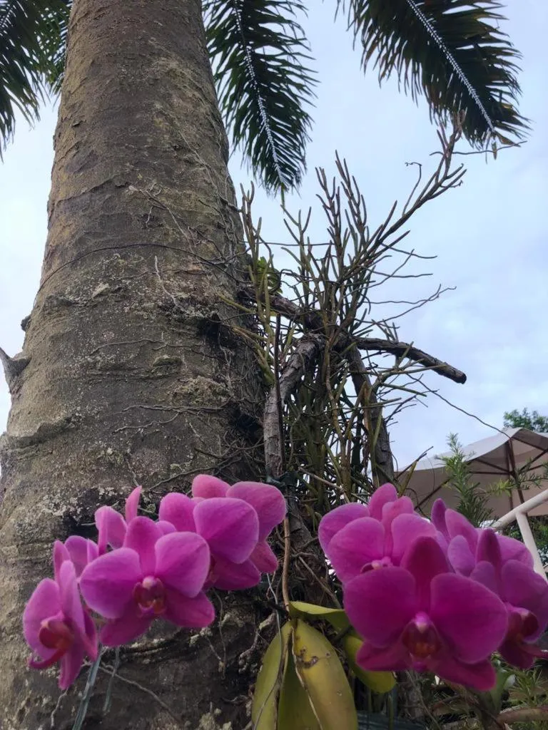 Hotel Morro De São Paulo