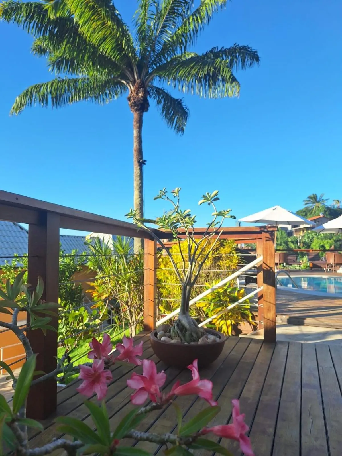 Garden in Hotel Morro De São Paulo