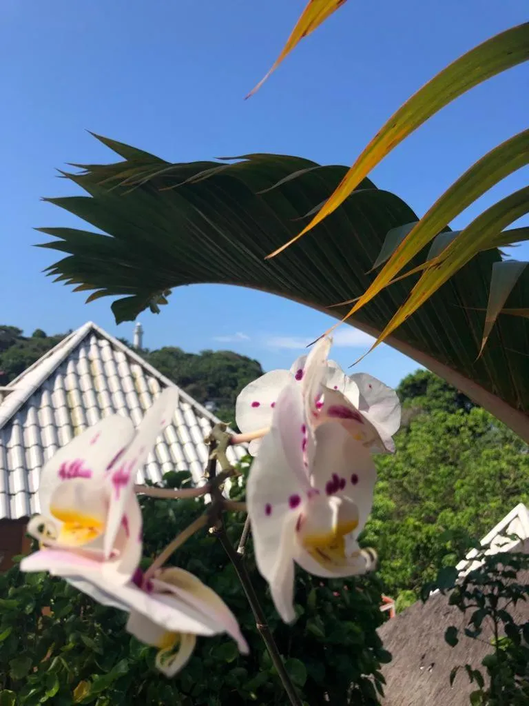 Hotel Morro De São Paulo