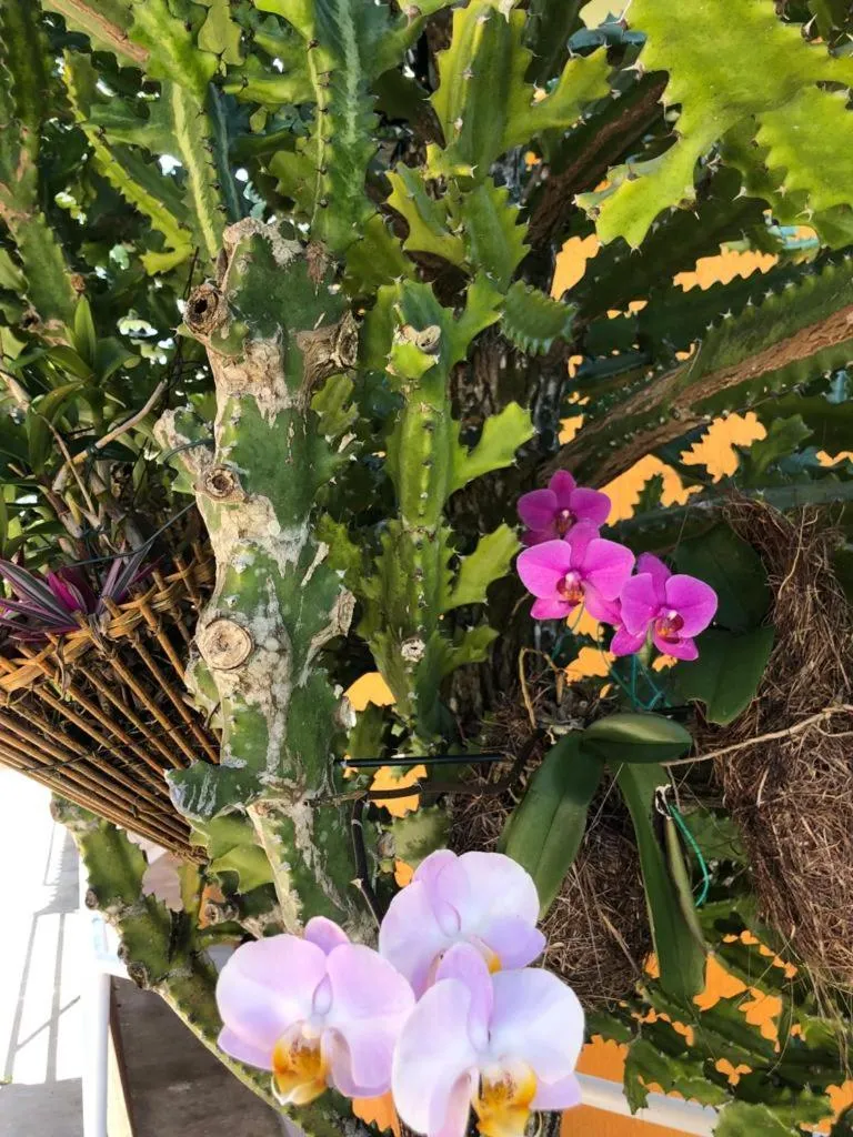 Hotel Morro De São Paulo