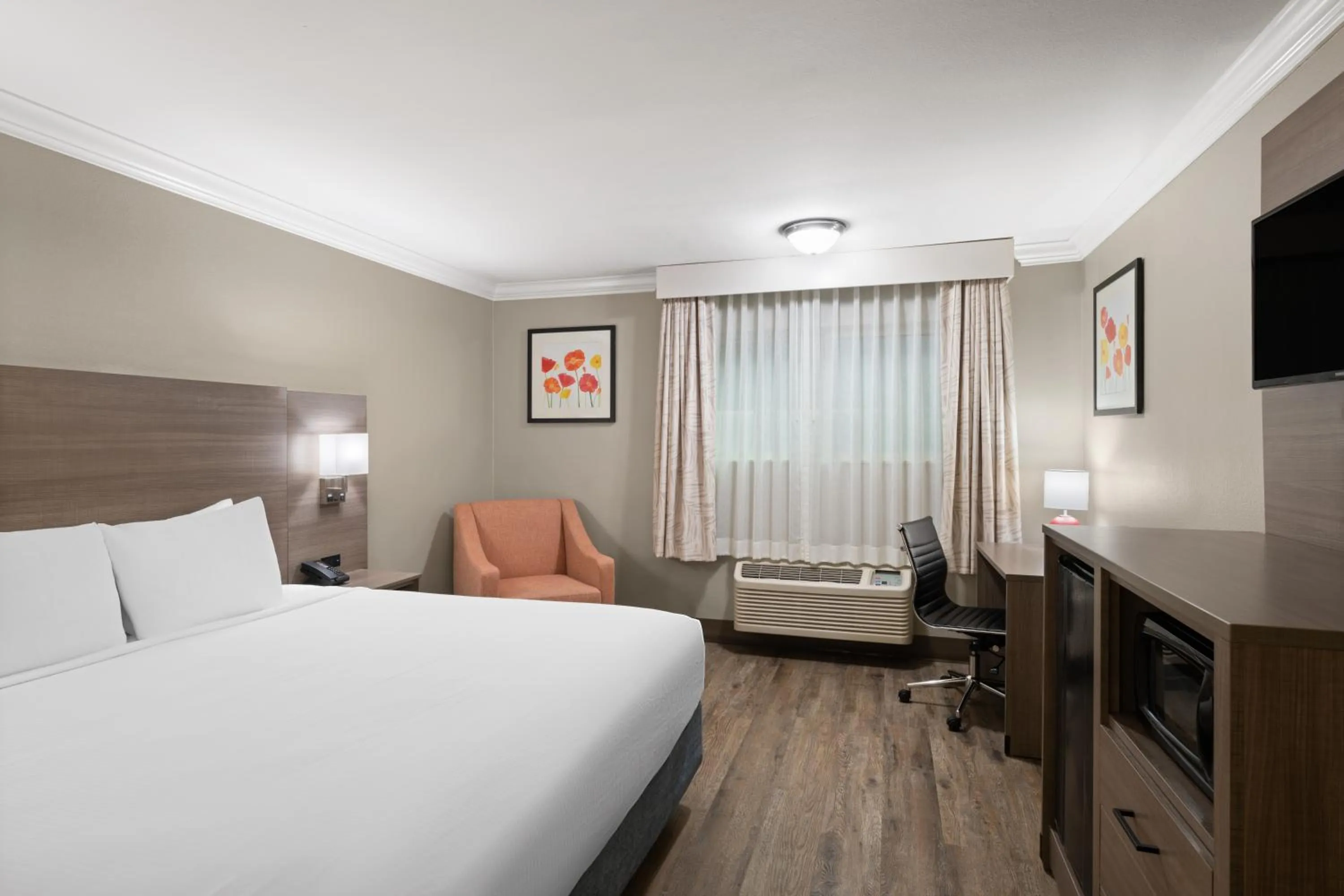 Bedroom, Bed in Solara Inn and Suites