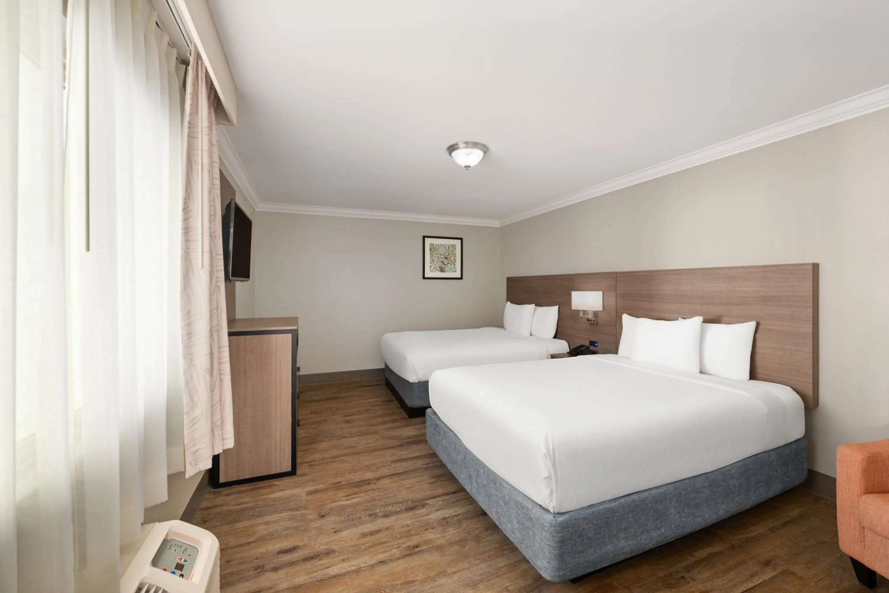 Lobby or reception, Bed in Solara Inn and Suites