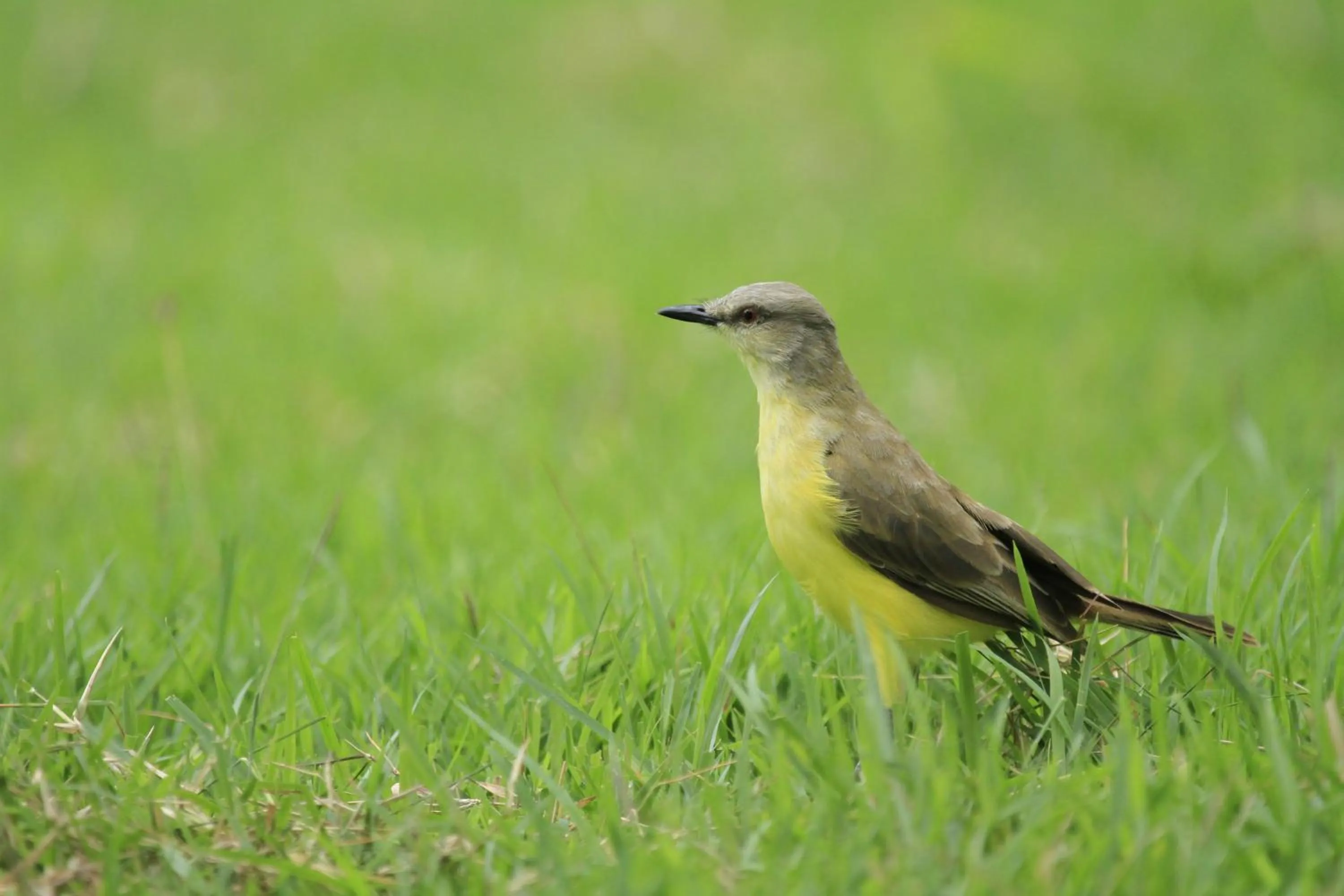 Day in Hotel Karapitangui