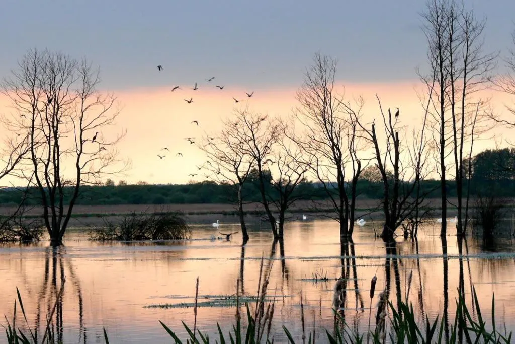 Natural landscape in Jagdschloss Kotelow