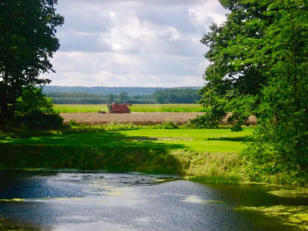 Garden view in Jagdschloss Kotelow