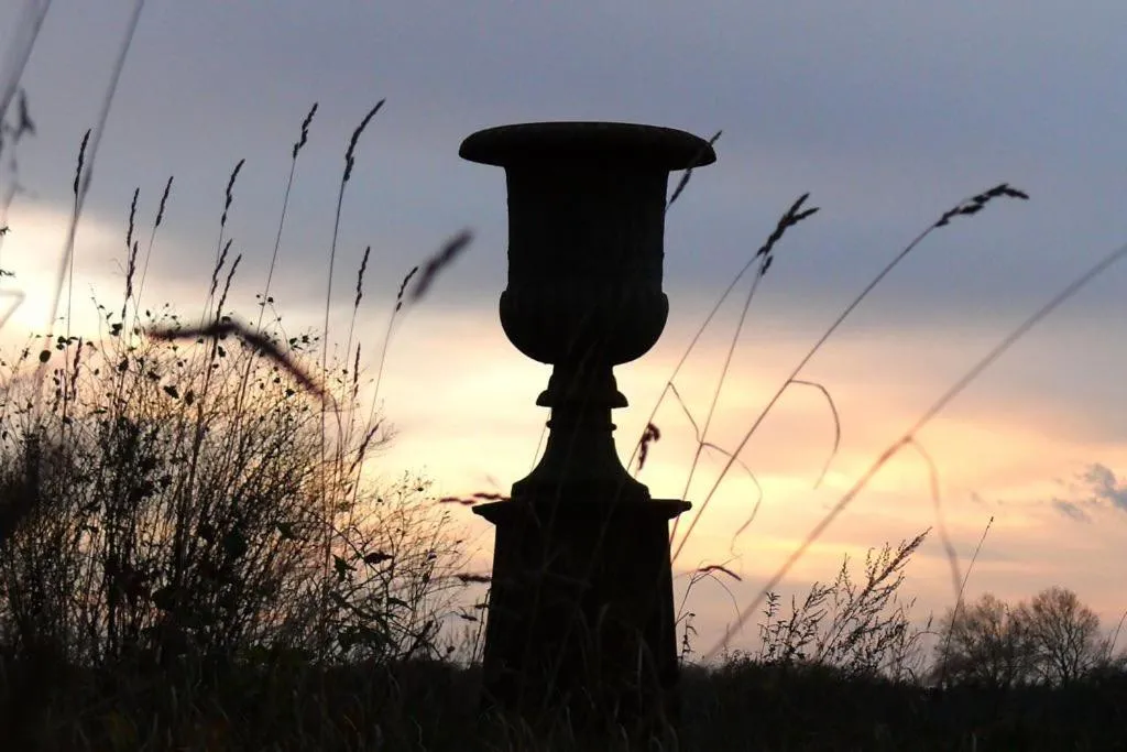 View (from property/room) in Jagdschloss Kotelow