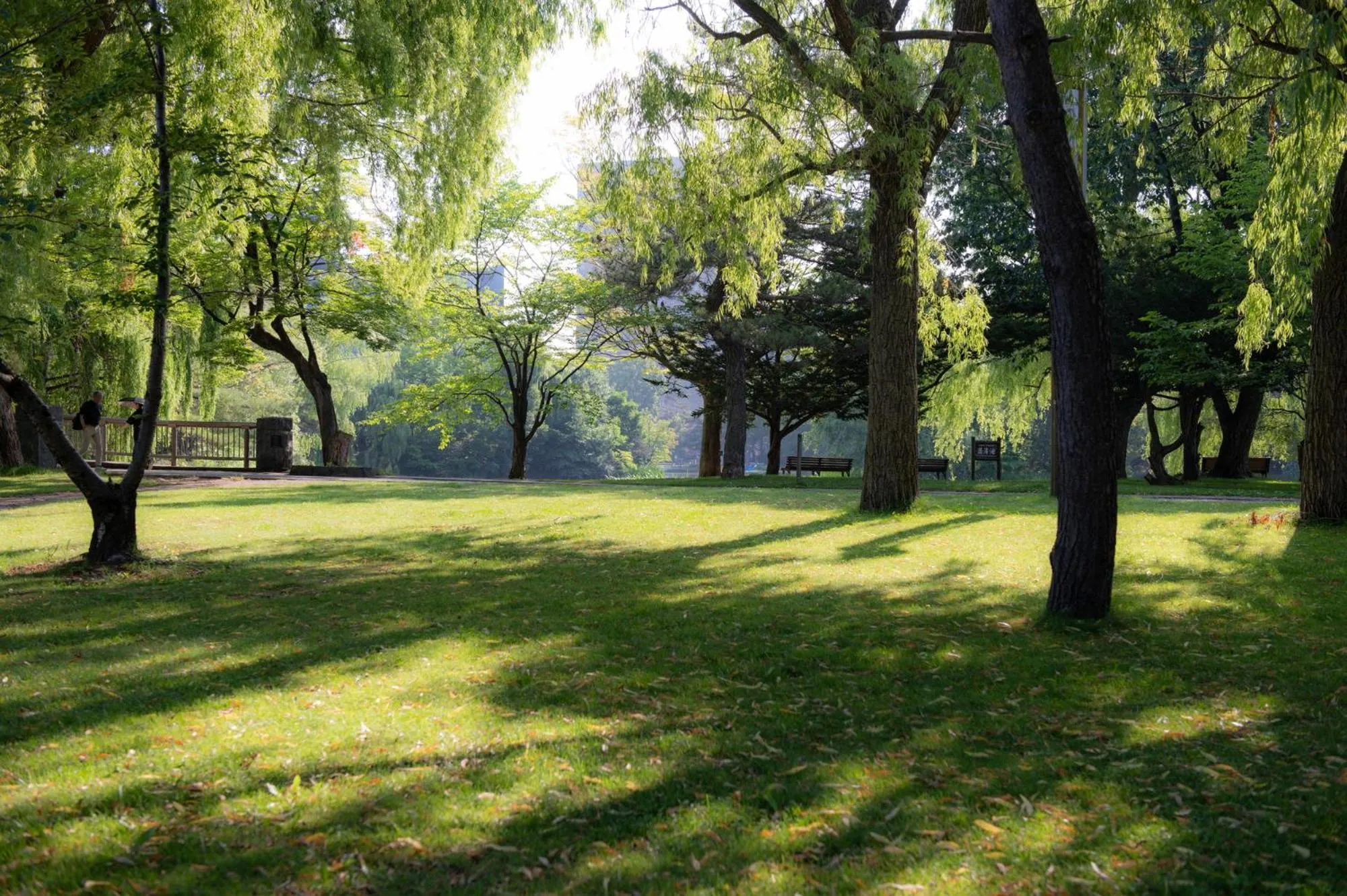Nearby landmark in Hotel Vista Sapporo Nakajima Koen