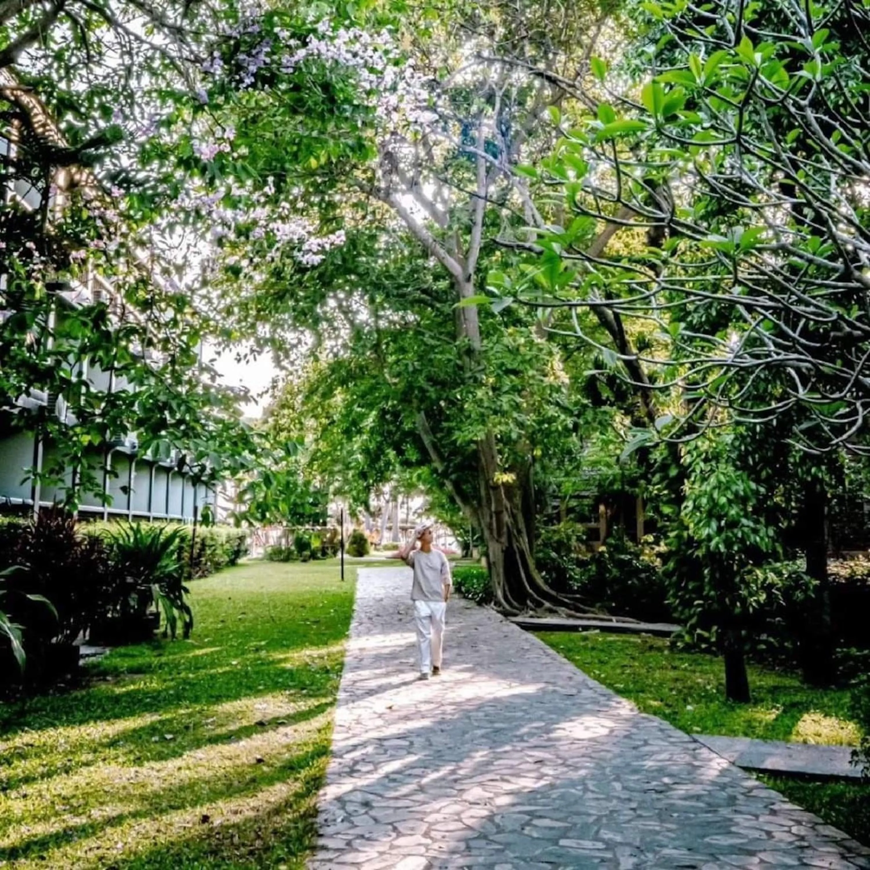 Garden view in Botany Beach Resort Pattaya