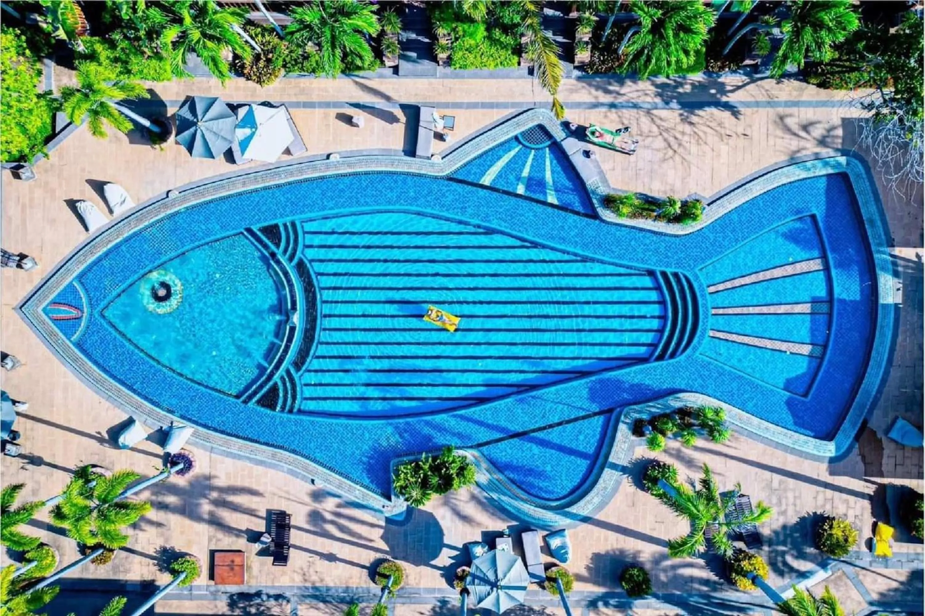 Bird's eye view in Botany Beach Resort Pattaya