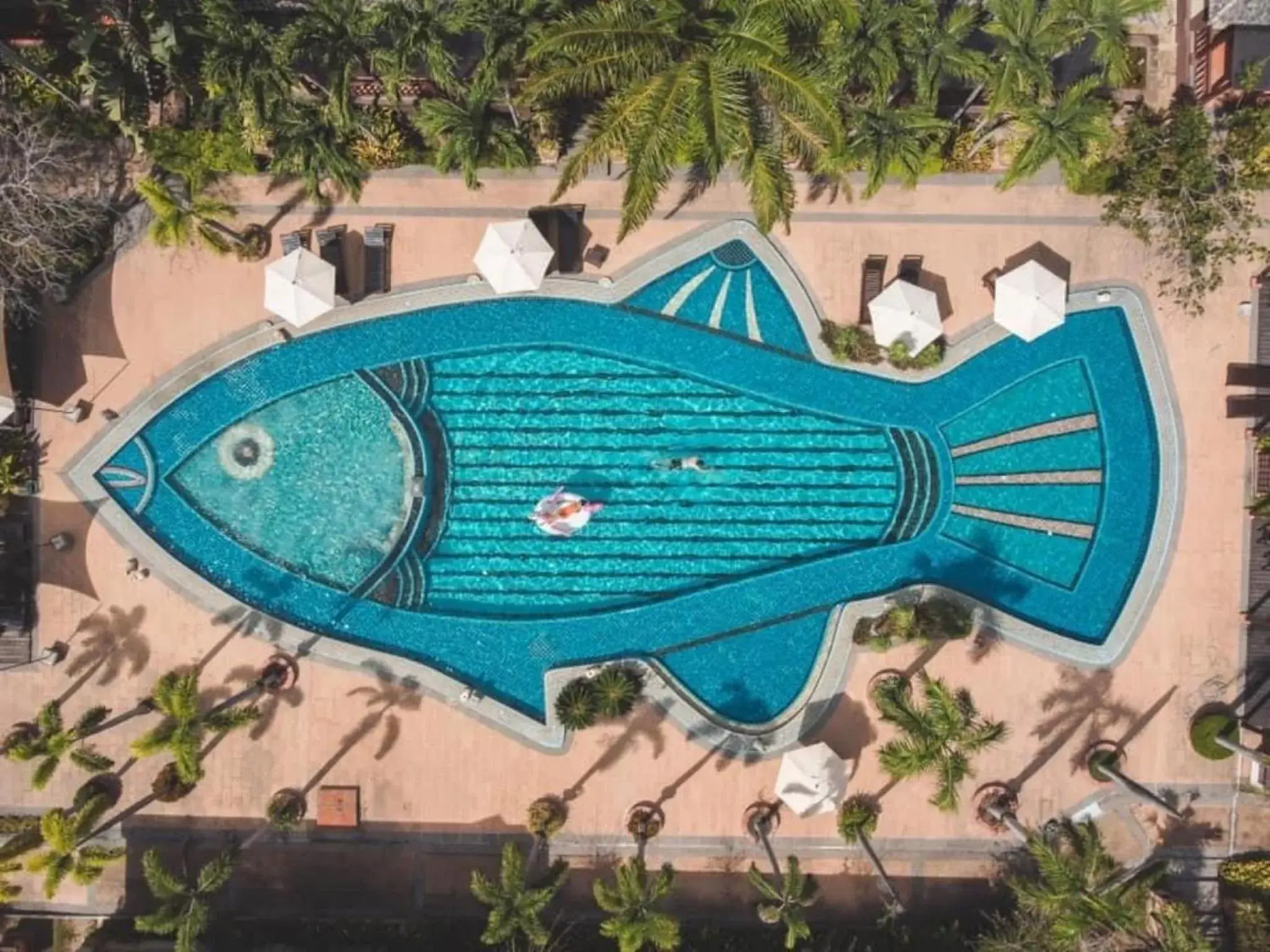 Swimming pool in Botany Beach Resort Pattaya Swimming pool in Botany Beach Resort Pattaya