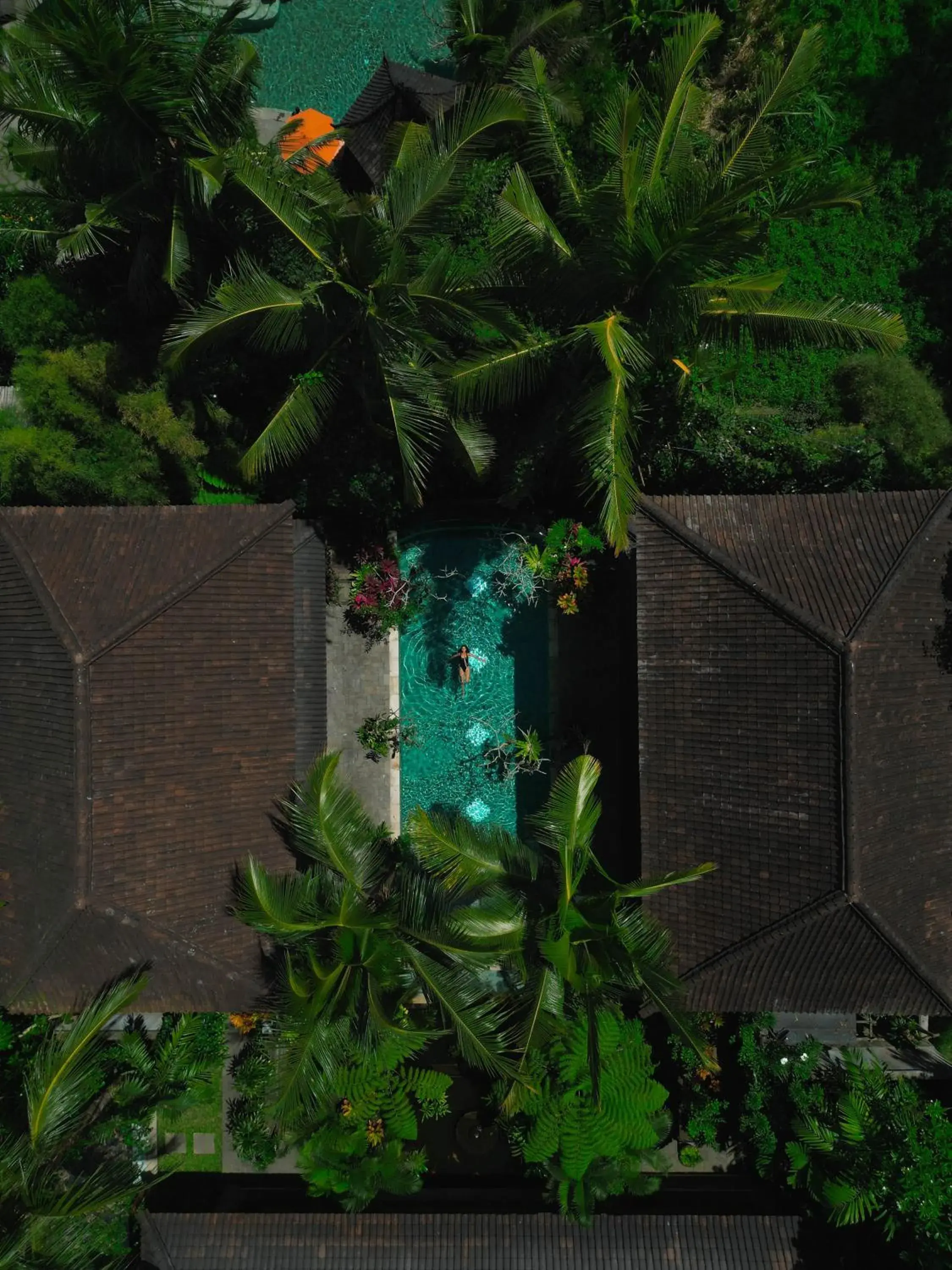 Swimming pool in Korurua Dijiwa Ubud Swimming pool in Korurua Dijiwa Ubud