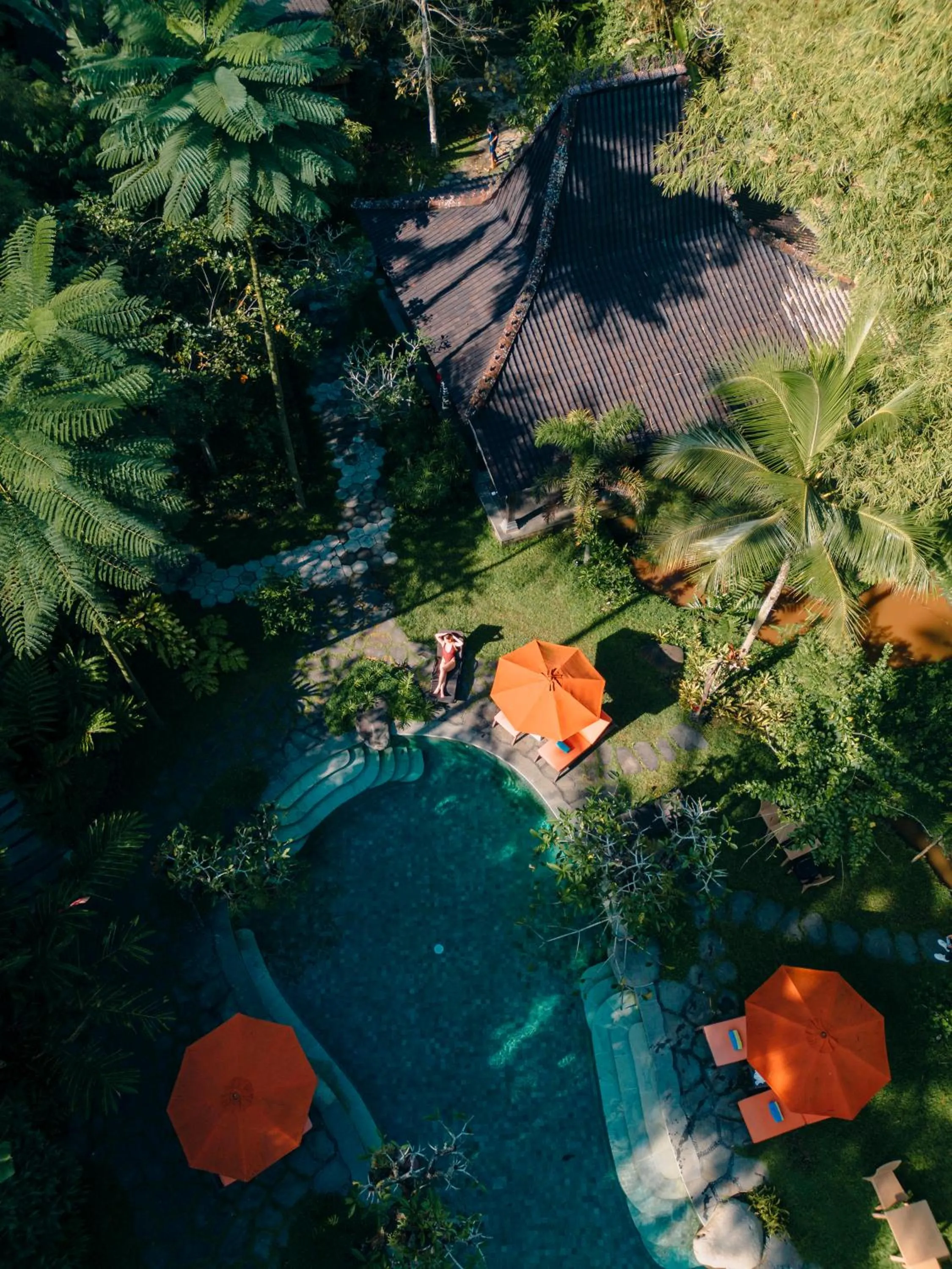 Swimming pool in Korurua Dijiwa Ubud