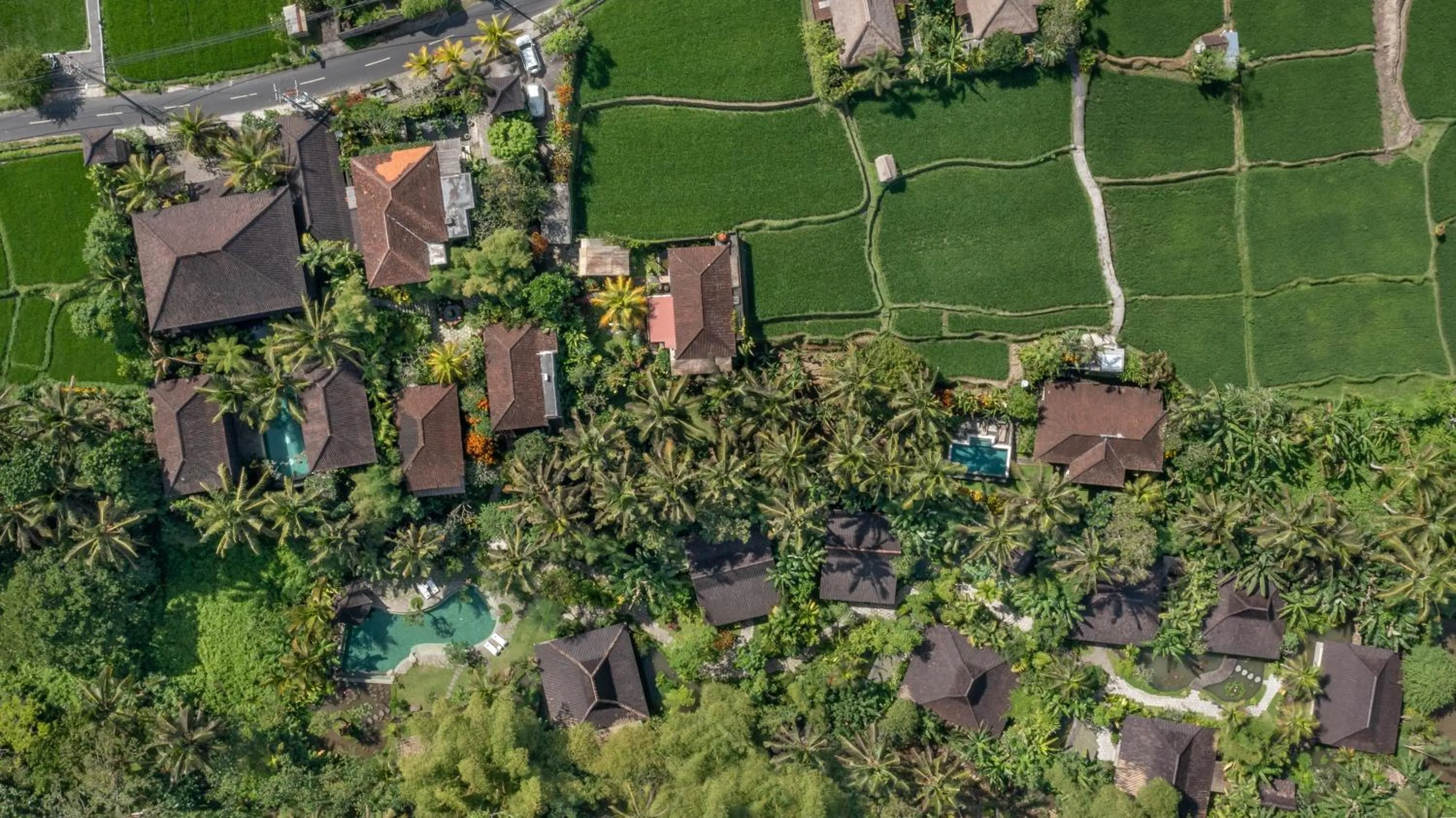 Natural landscape in Korurua Dijiwa Ubud