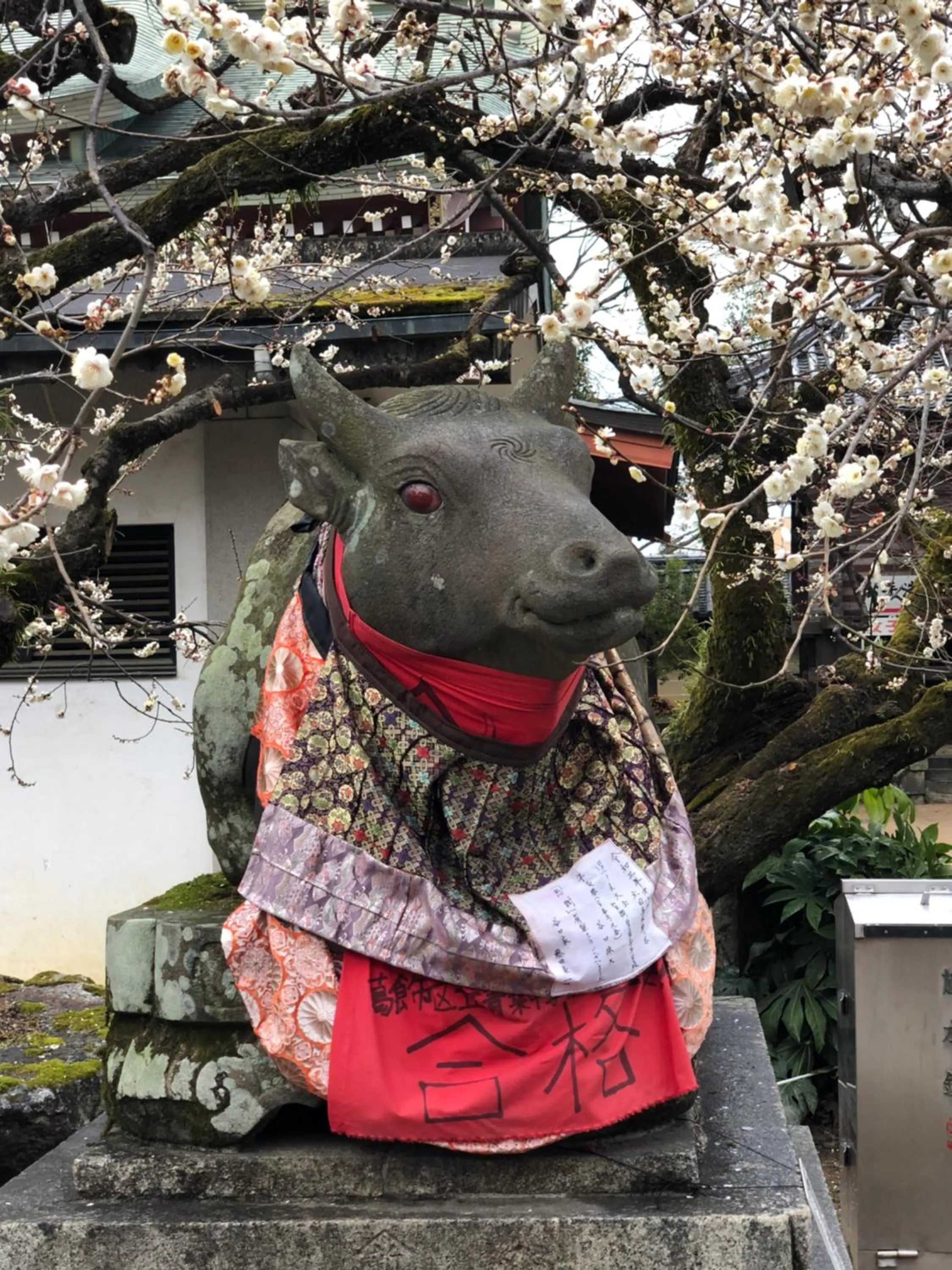 京町家-椿庵Kyomachiya-Tsubakian