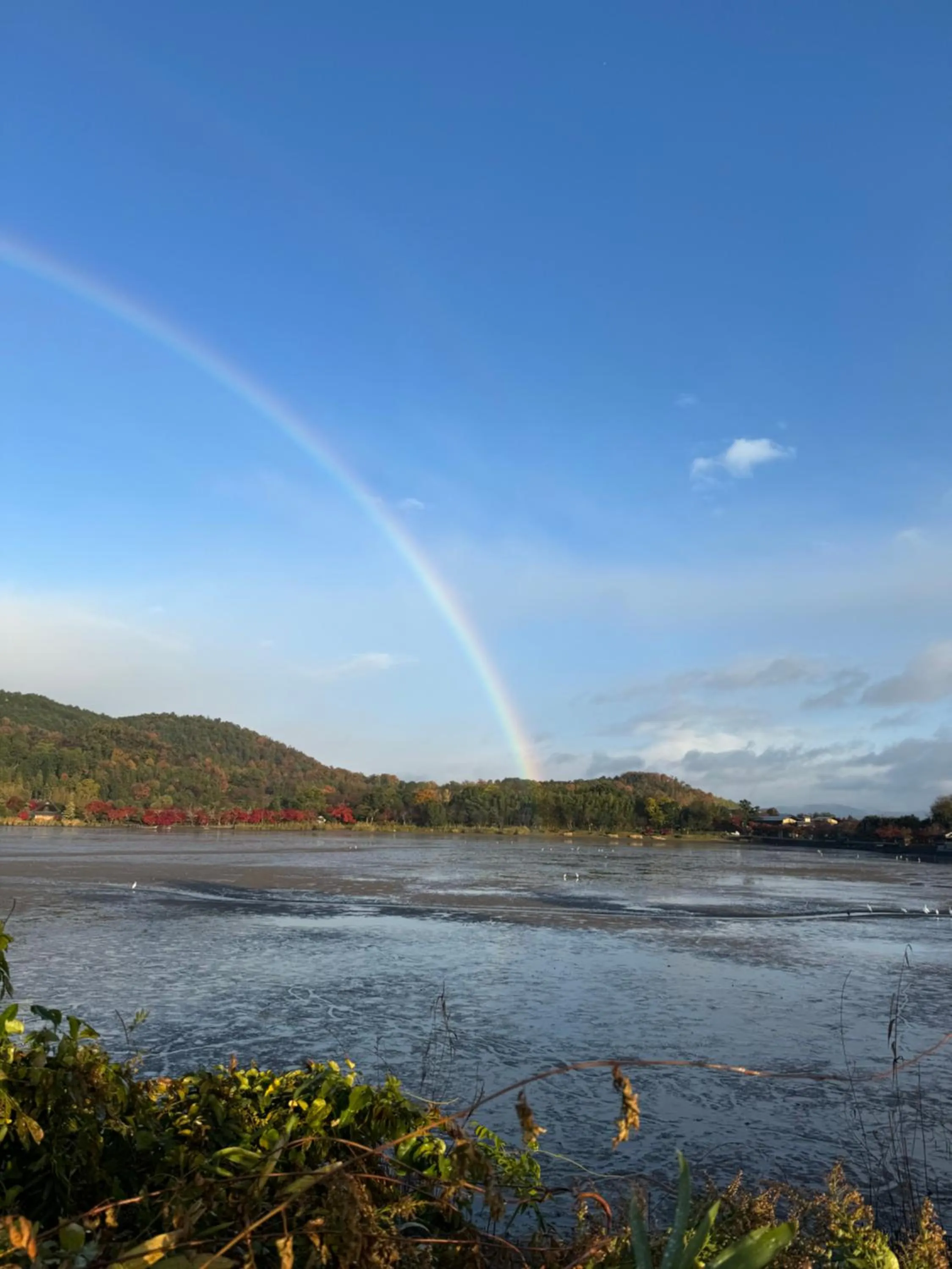 京町家-椿庵Kyomachiya-Tsubakian