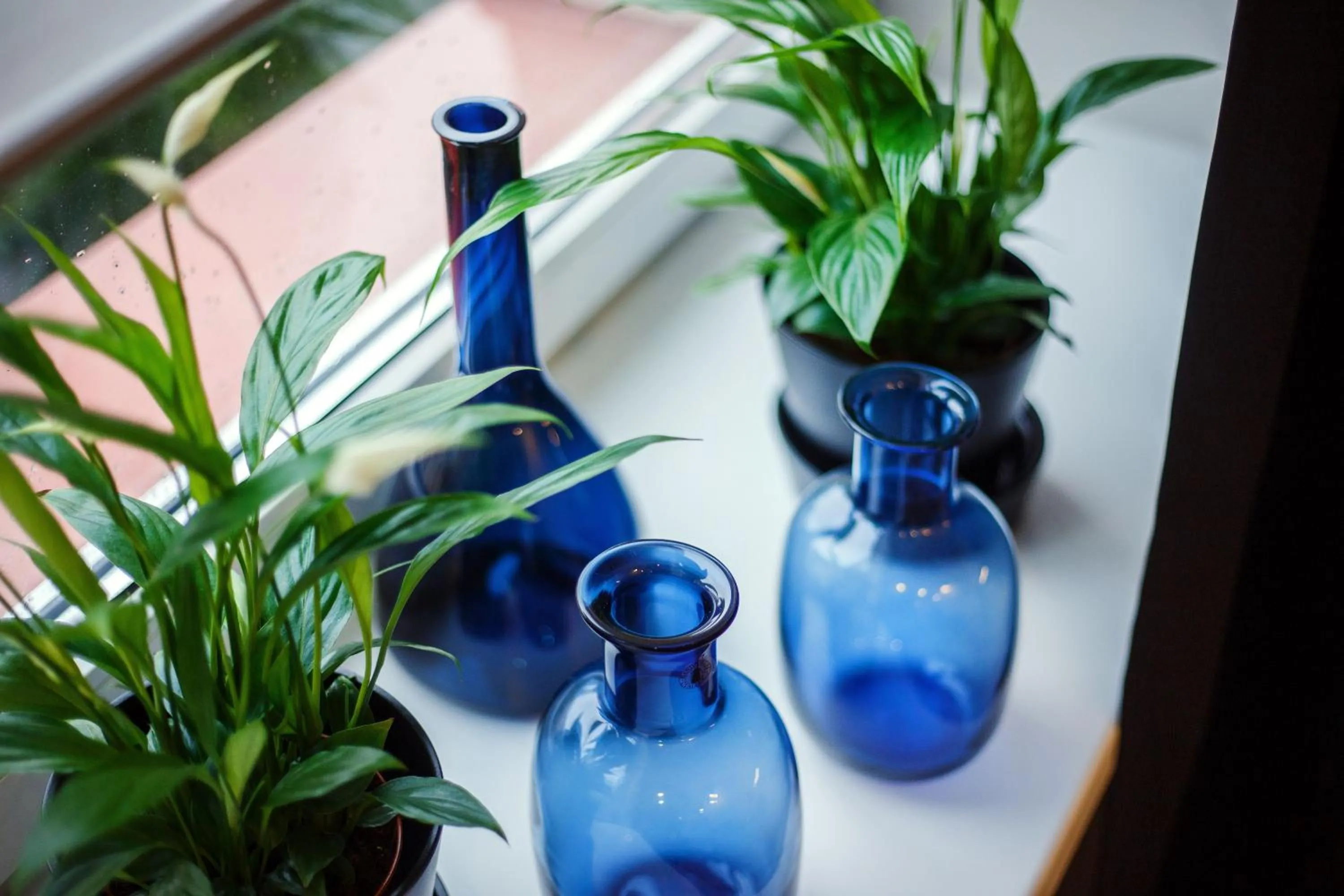 Photo of the whole room in Old Town Trio Apartments