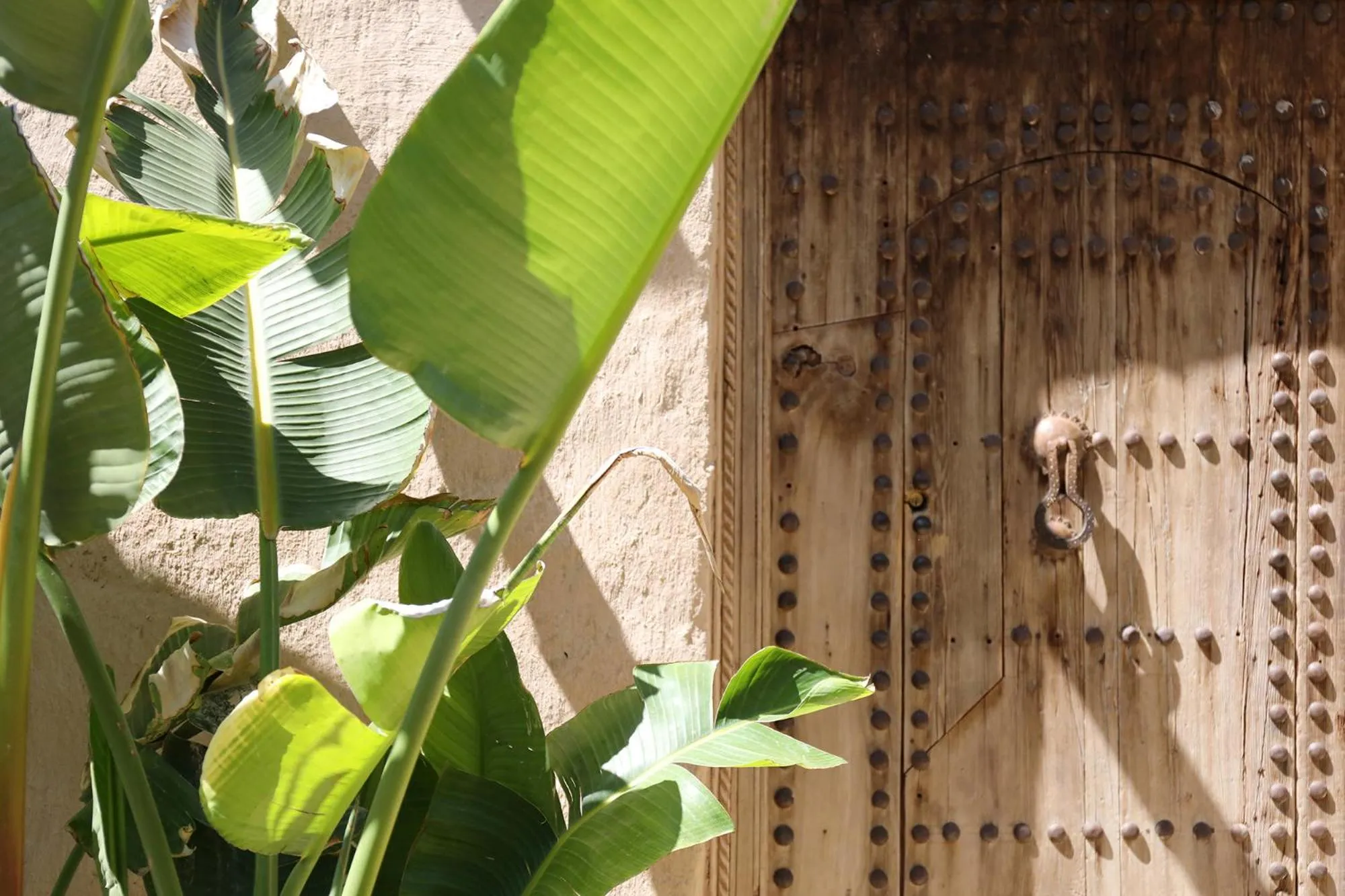 Photo of the whole room in Le Petit Hôtel du Flouka