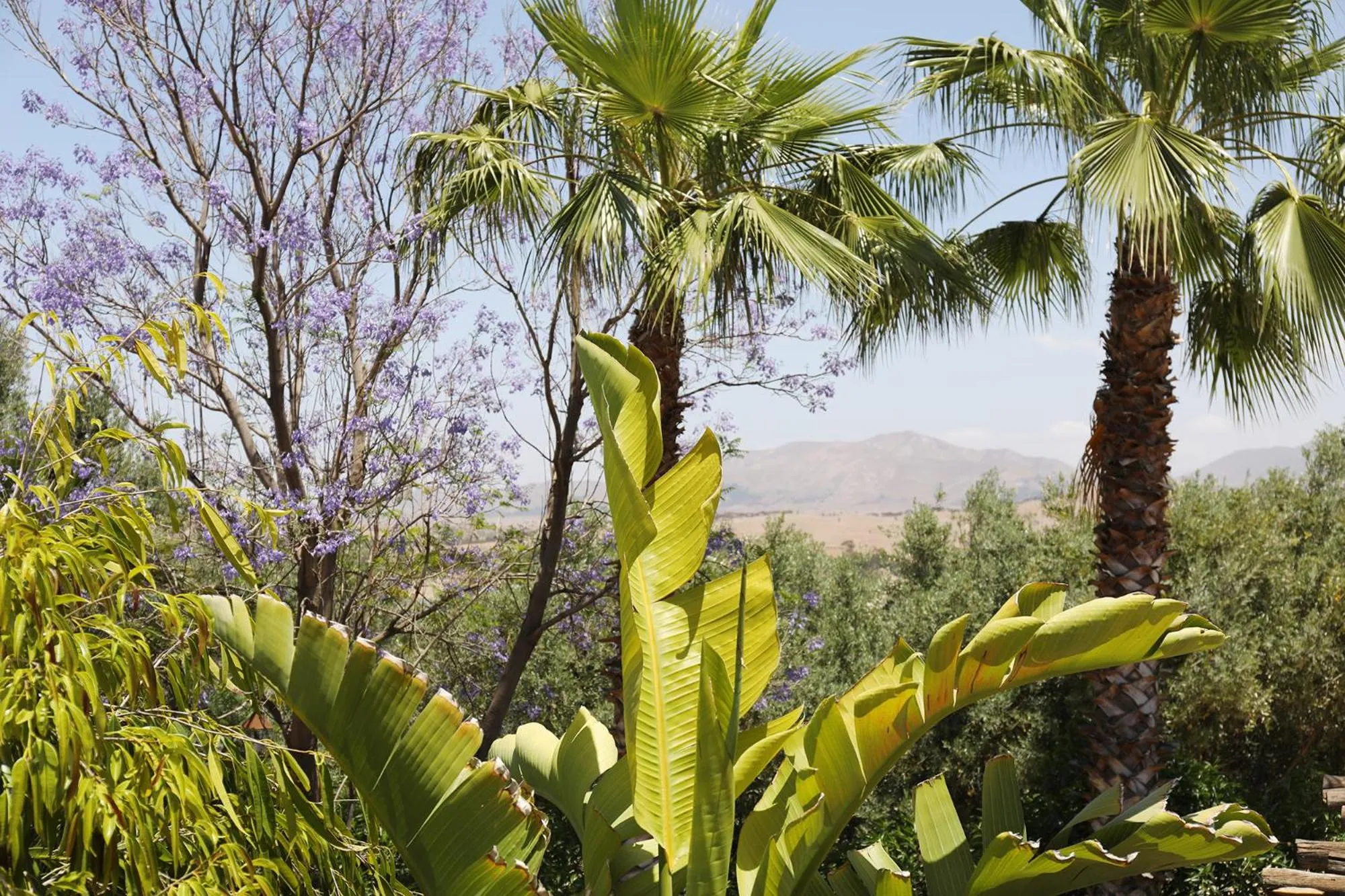 Natural landscape in Le Petit Hôtel du Flouka