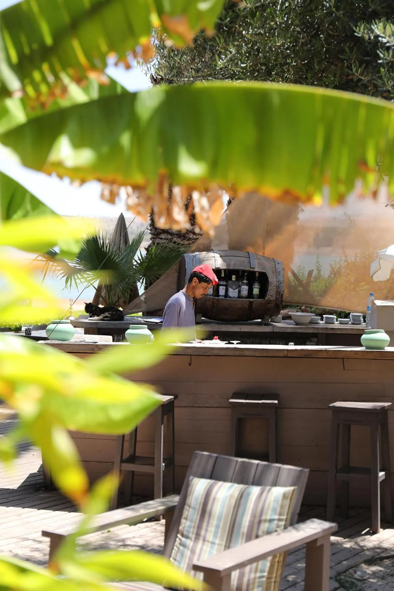 Patio in Le Petit Hôtel du Flouka