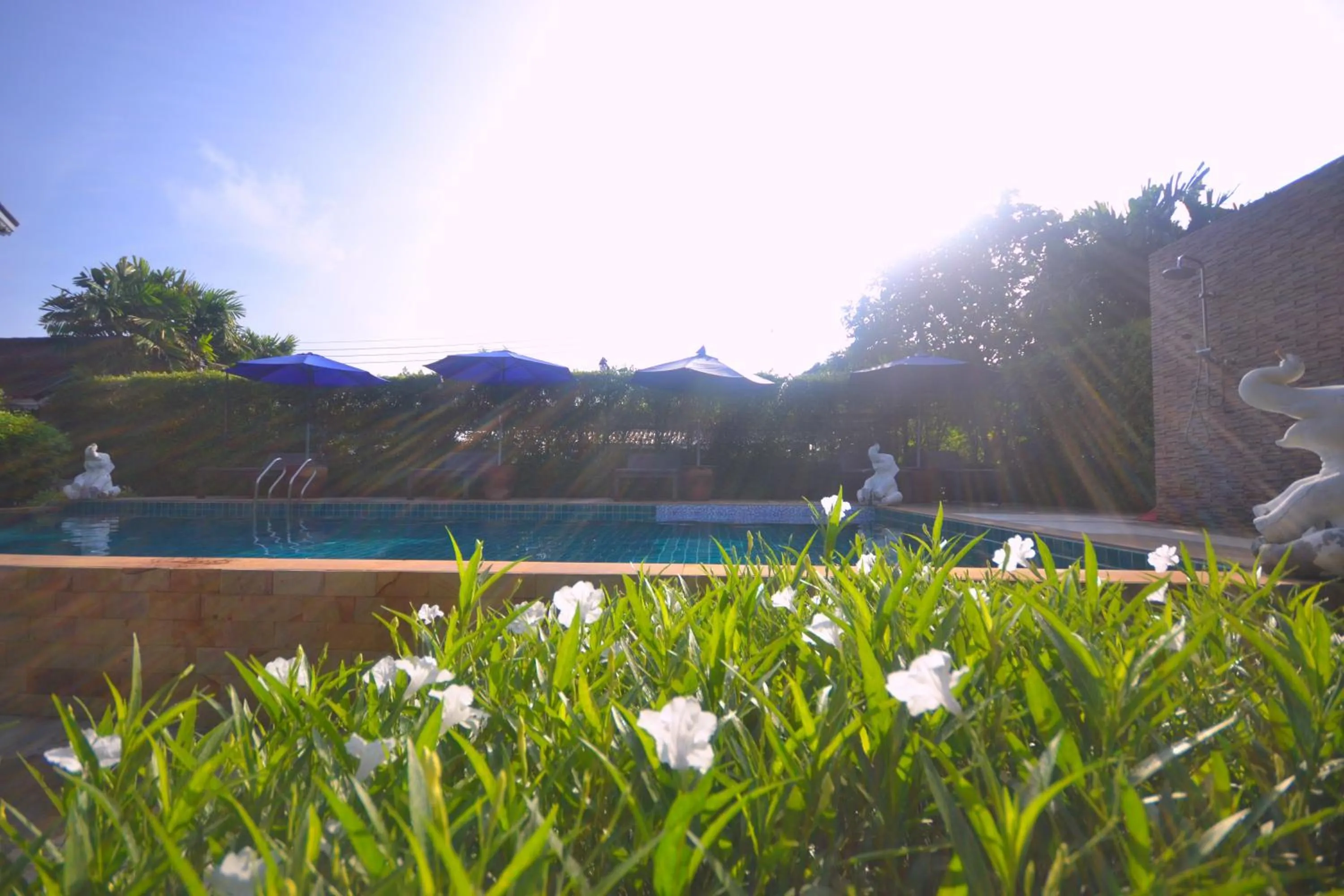 Swimming pool in Thai Thai Sukhothai Resort