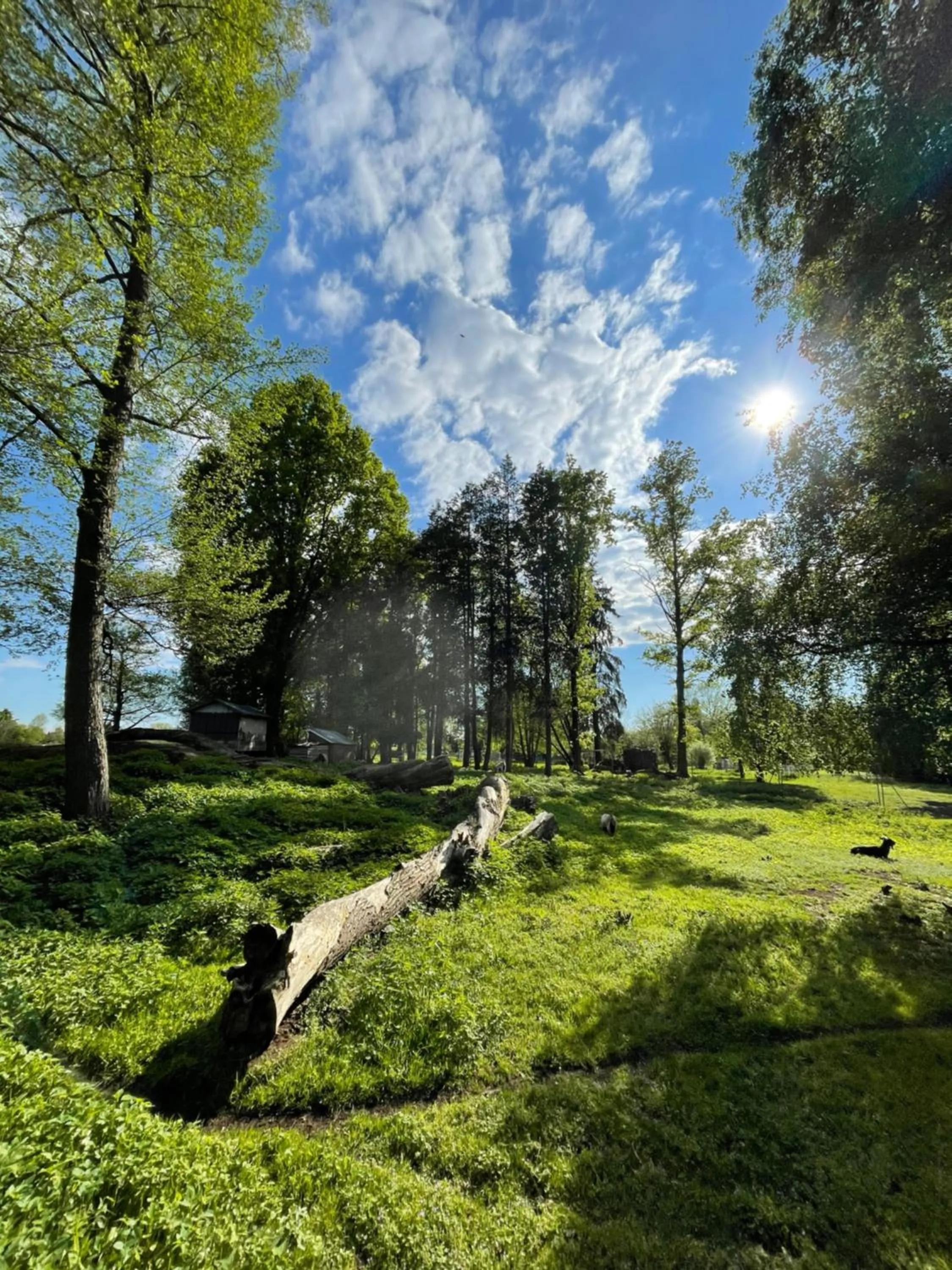 Off site in Parkhotel Pretzsch