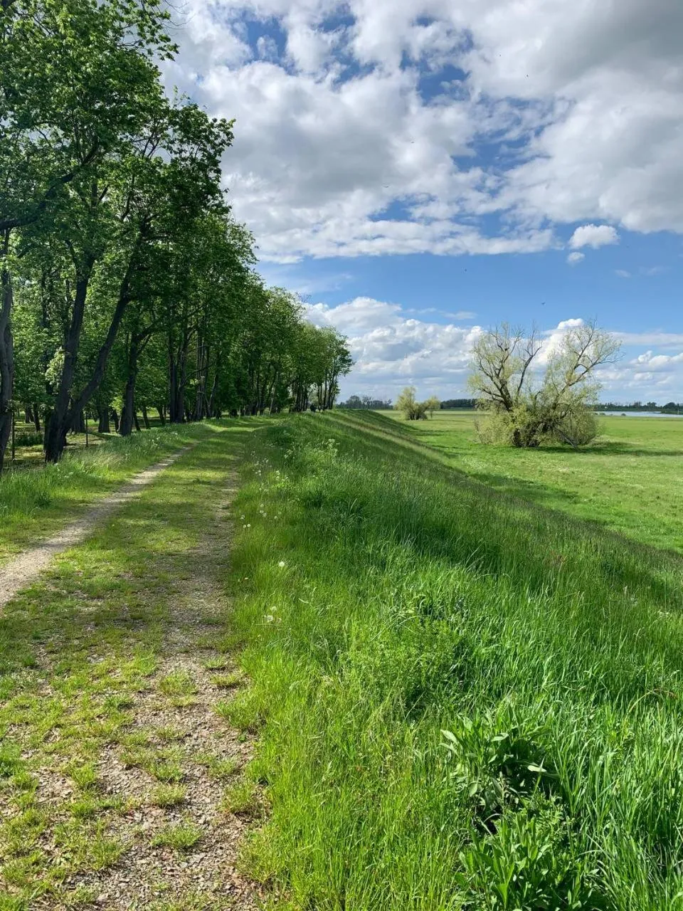 Off site in Parkhotel Pretzsch