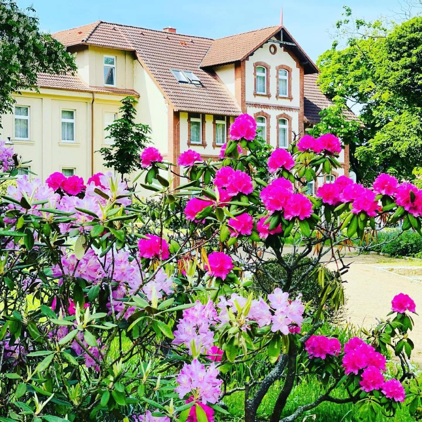 Property building in Parkhotel Pretzsch