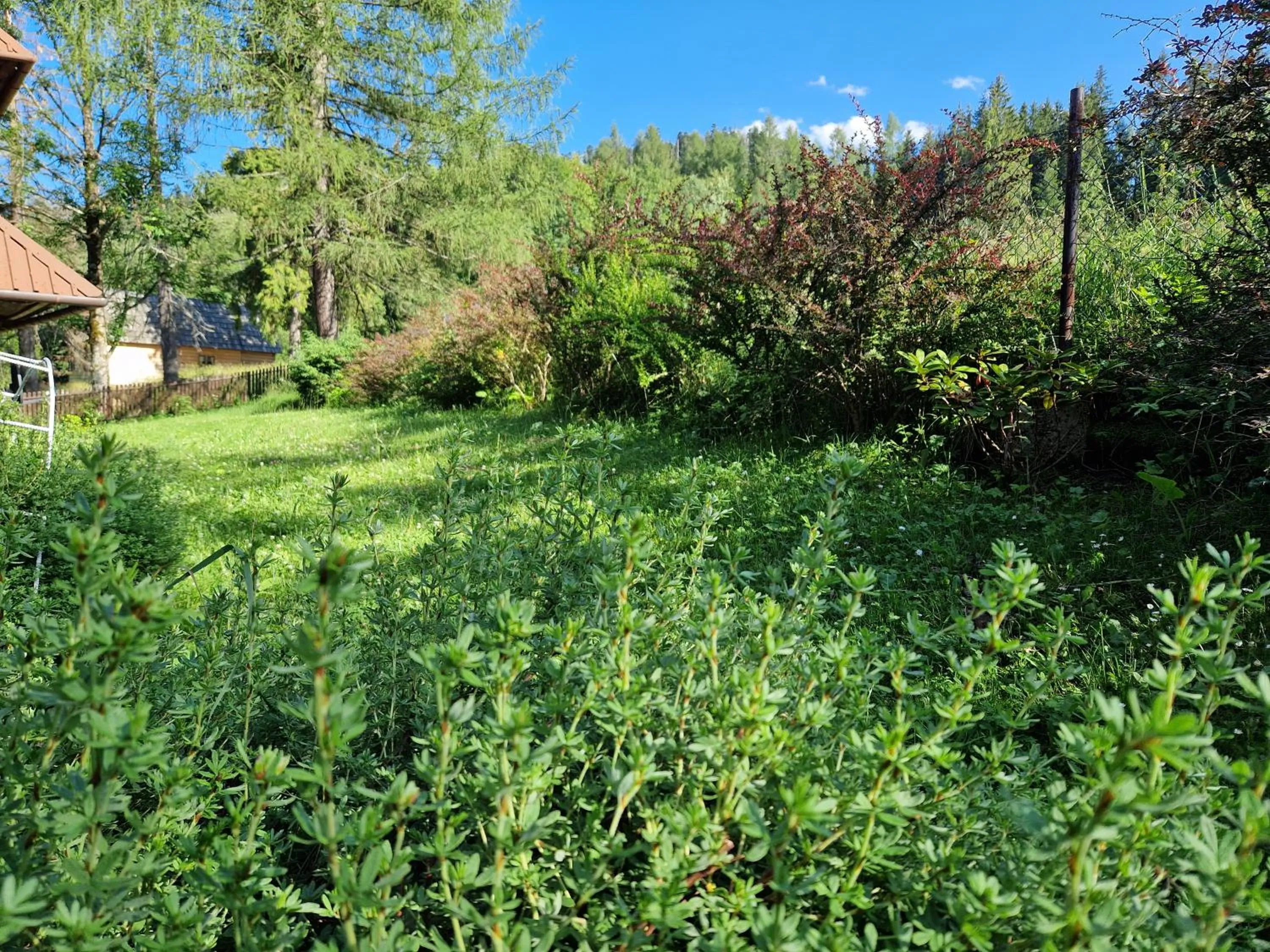 Natural landscape in Willa Pod Piórem