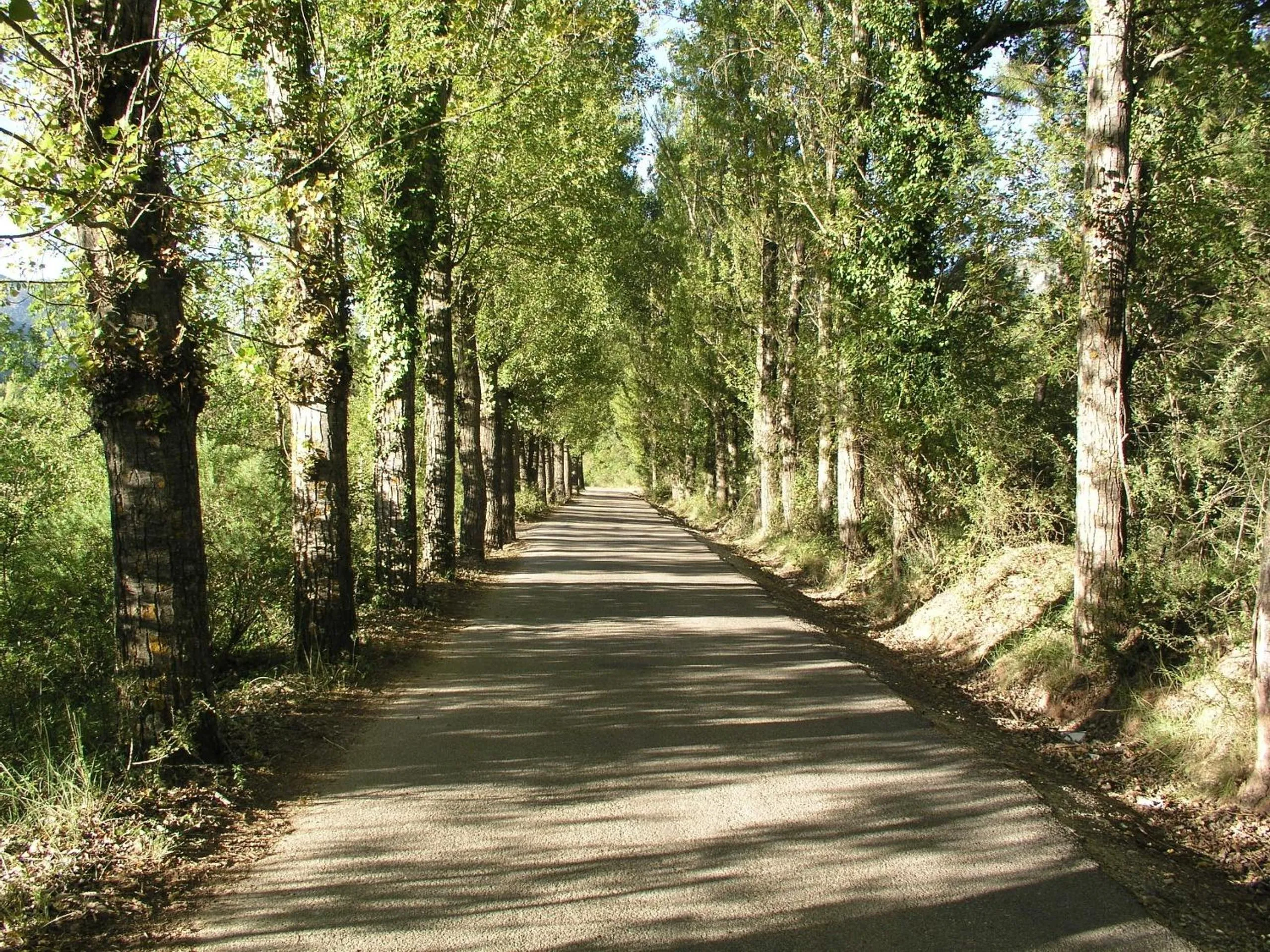 Day in Hotel Rural Convento Santa Maria de la Sierra