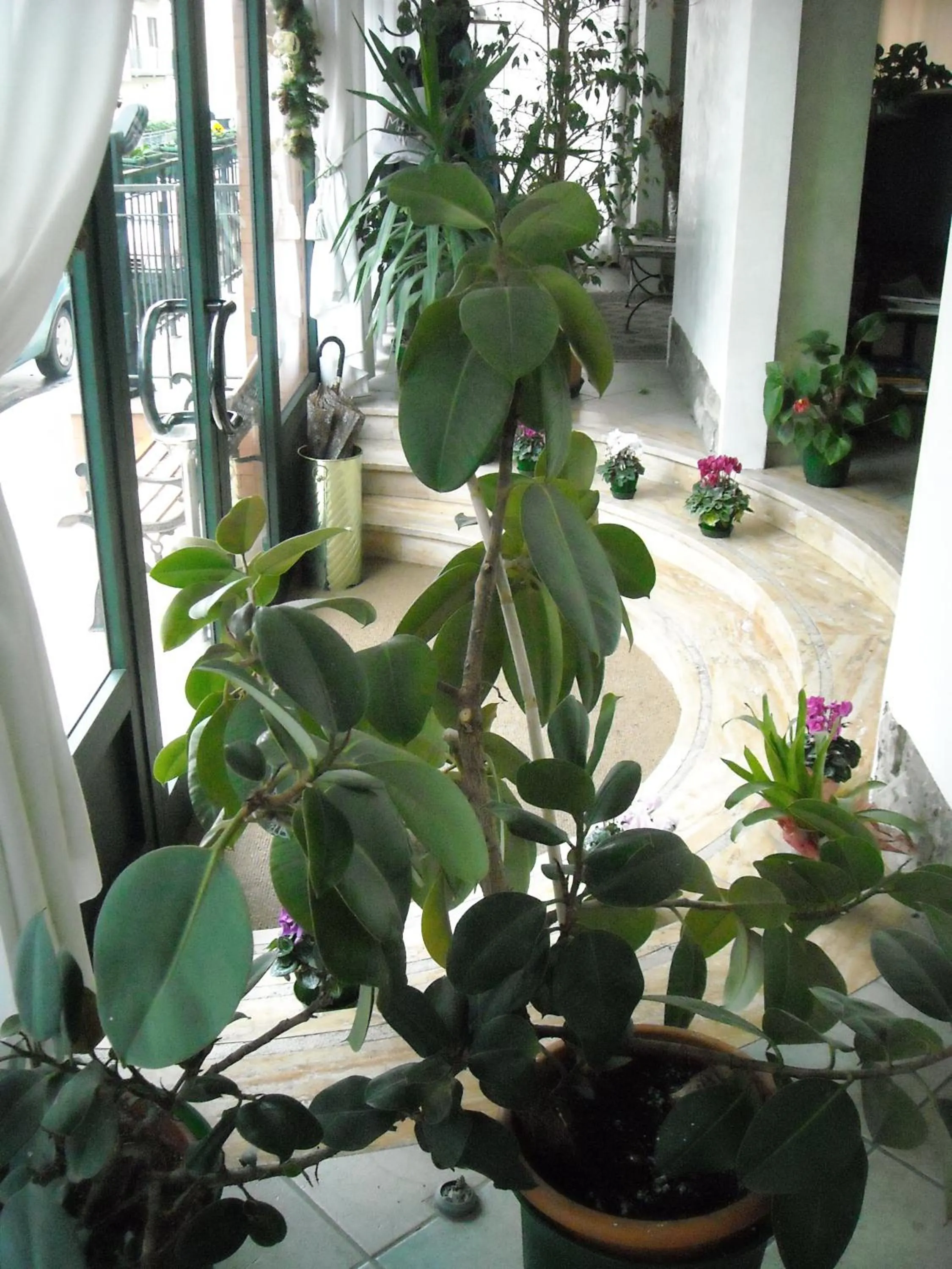 Decorative detail in Albergo La Posta Arezzo