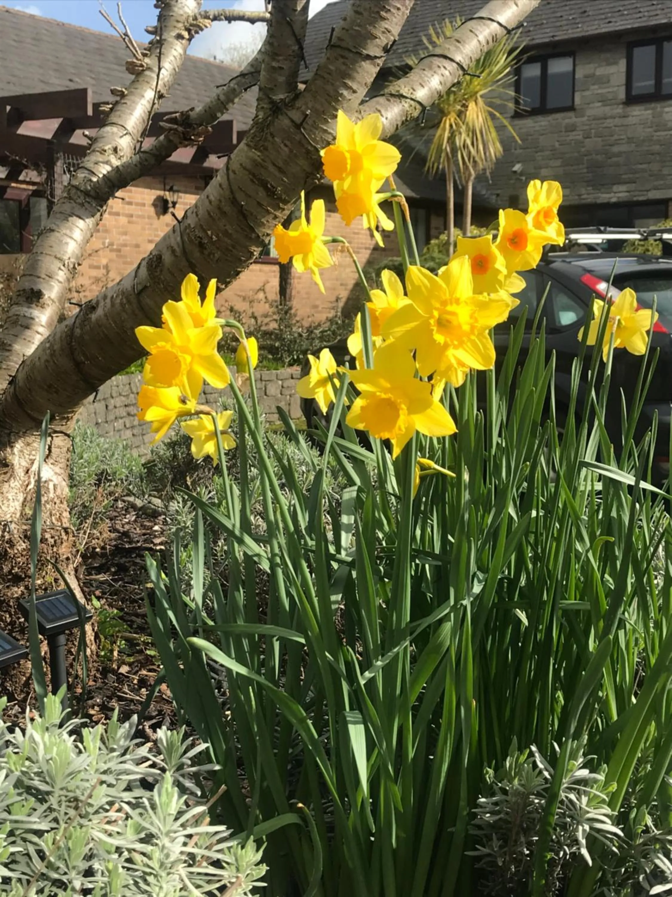 Smithaleigh Farm Rooms and Apartments