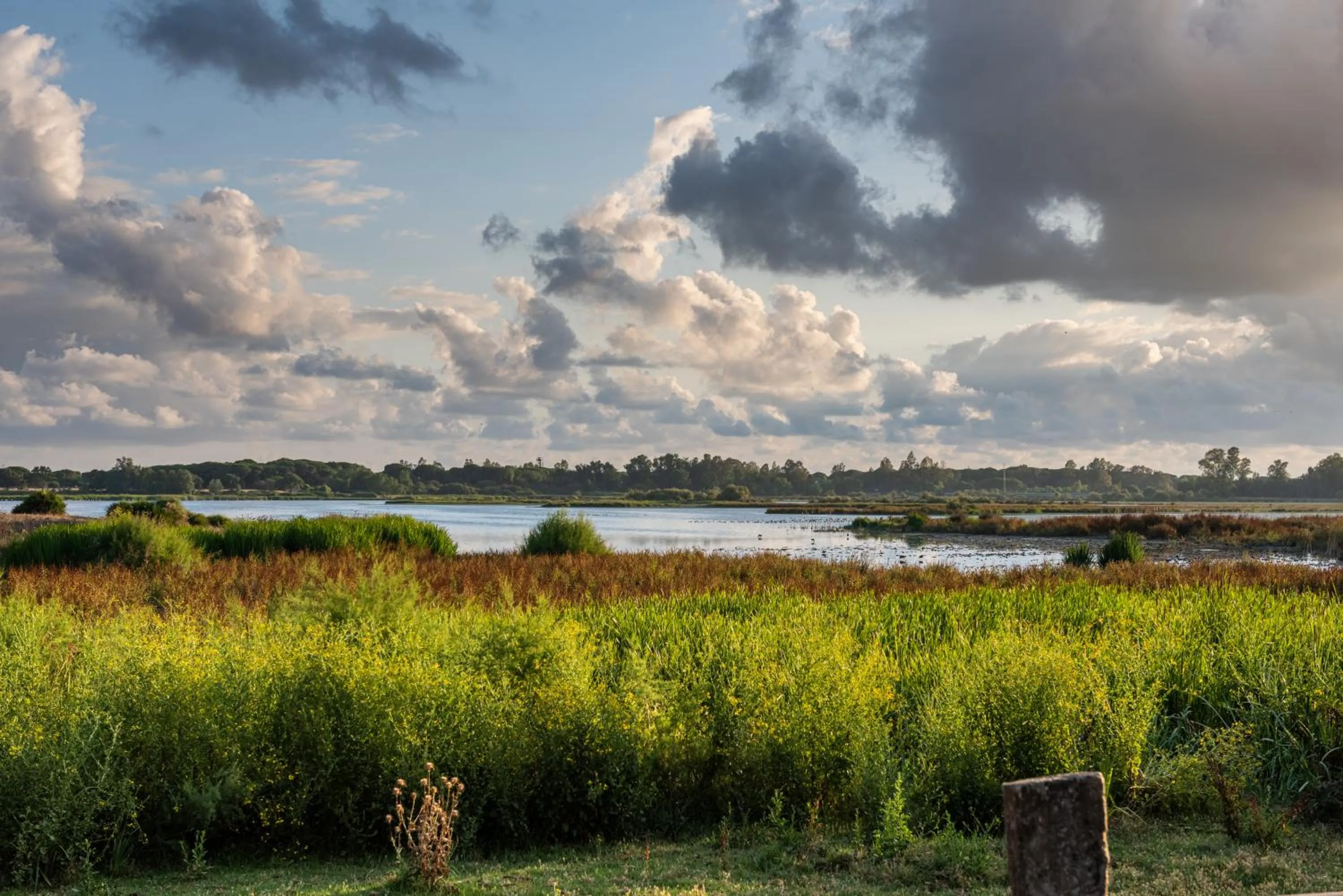 Nearby landmark in Hotel La Malvasía