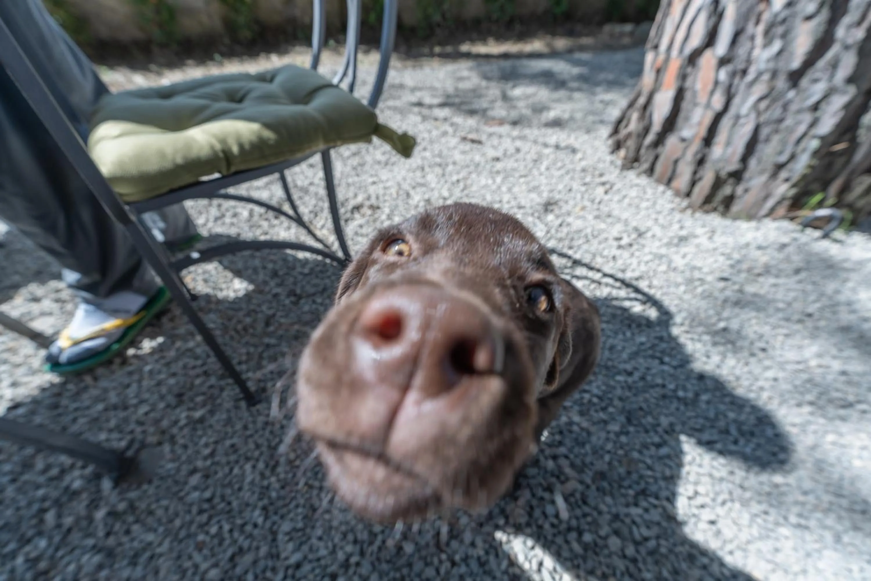 Staff in Corte Di Valle