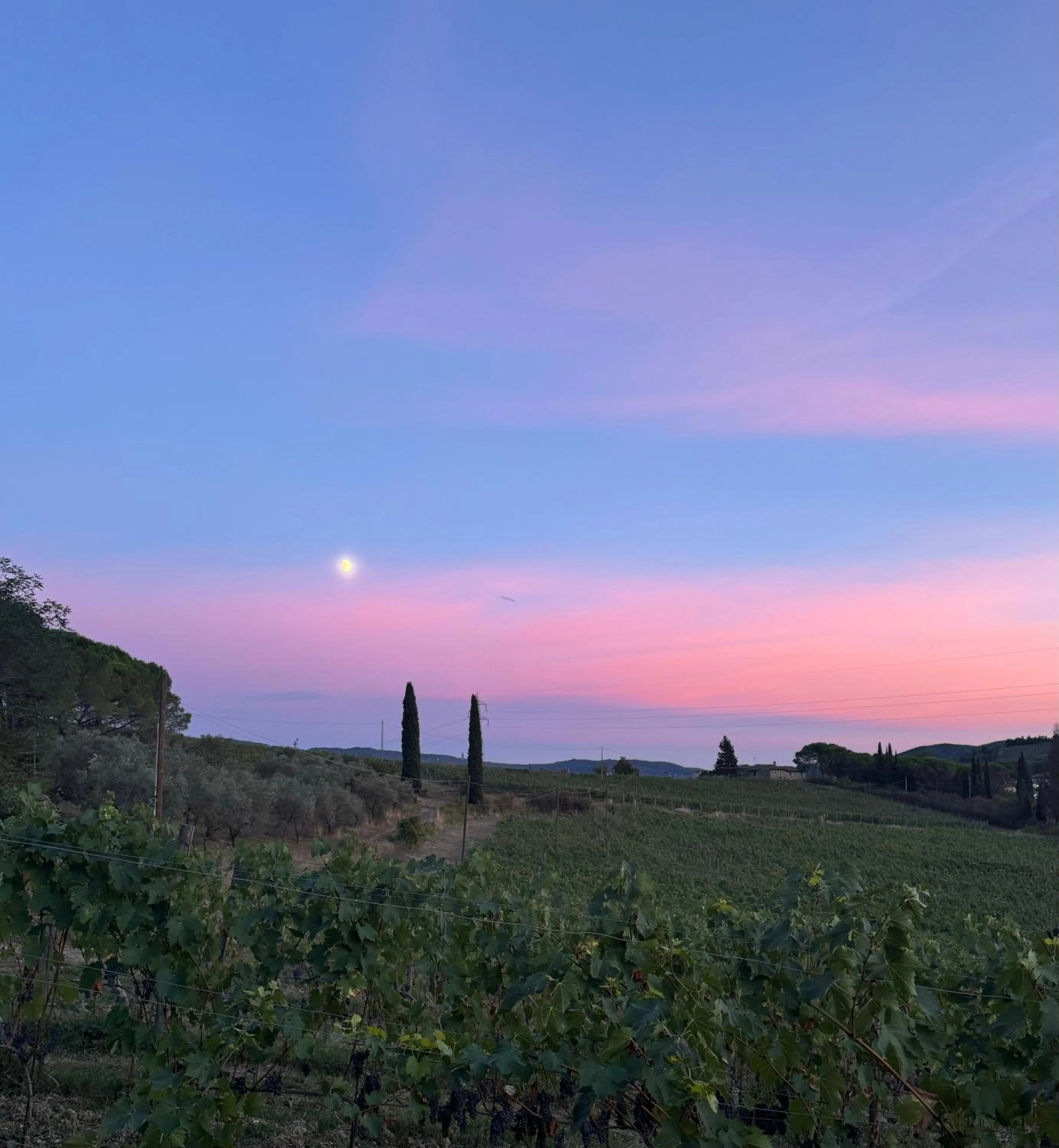 Natural landscape in Corte Di Valle
