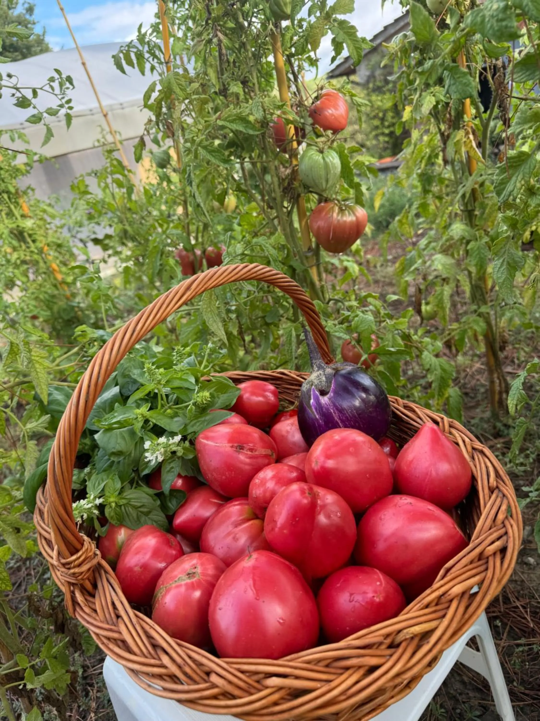 Food and drinks in Corte Di Valle