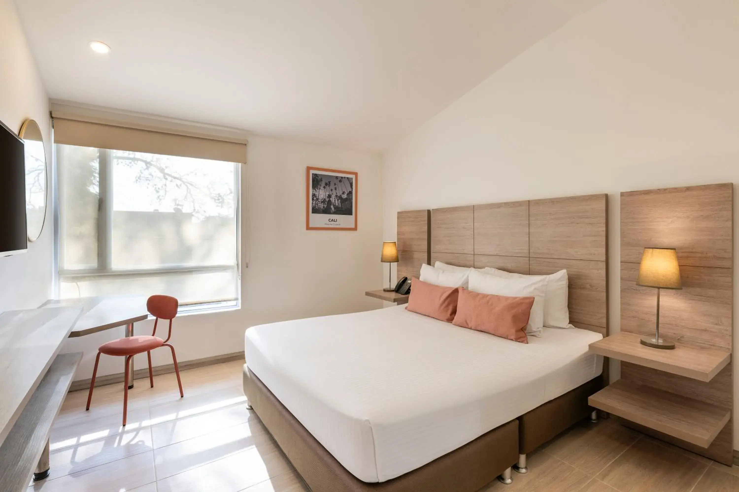 Suite - single occupancy in Hotel MS Pacifico Chipichape Suite - single occupancy in Hotel MS Pacifico Chipichape