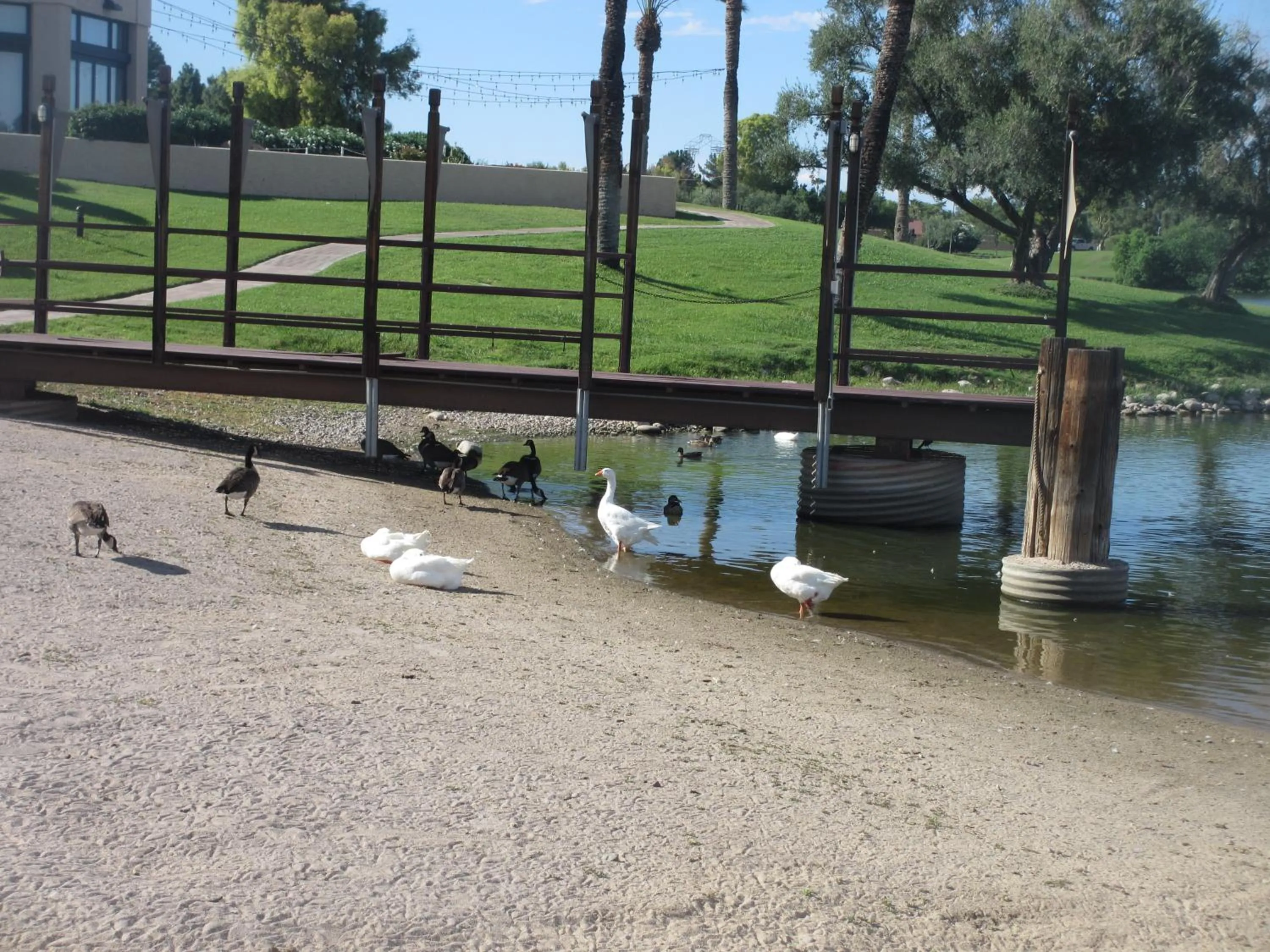 McCormick Ranch Golf Villa