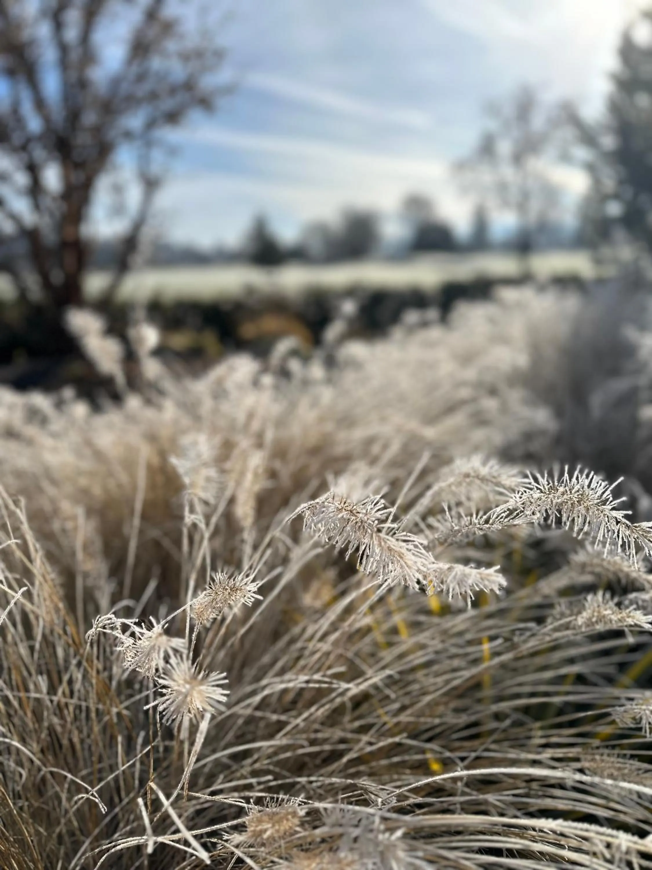 Resort at Eagle Point Golf Club Lodging