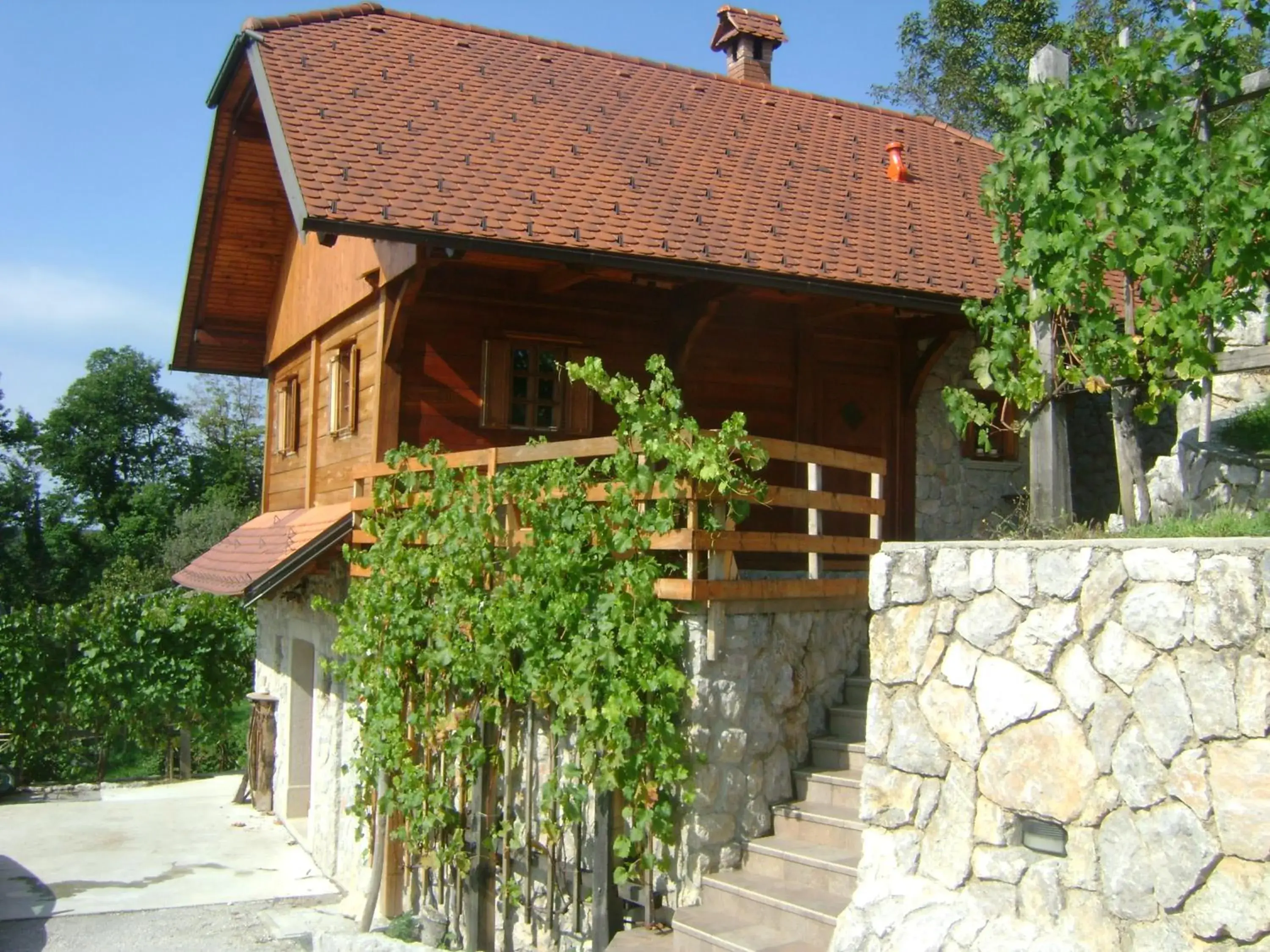 Vineyard cottage Zidanca med vinogradi Vineyard cottage Zidanca med vinogradi