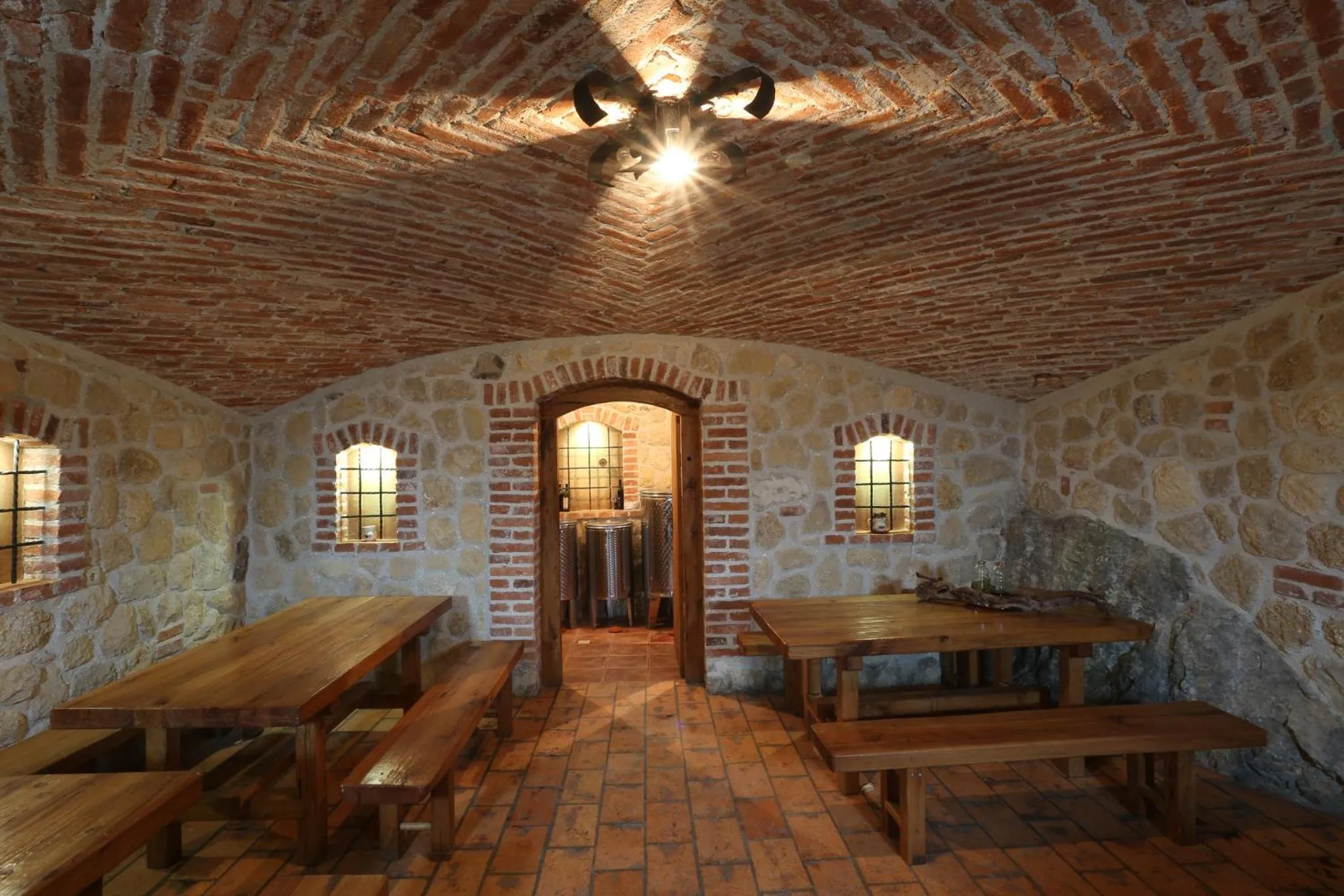 Area and facilities in Vineyard cottage Zidanca med vinogradi