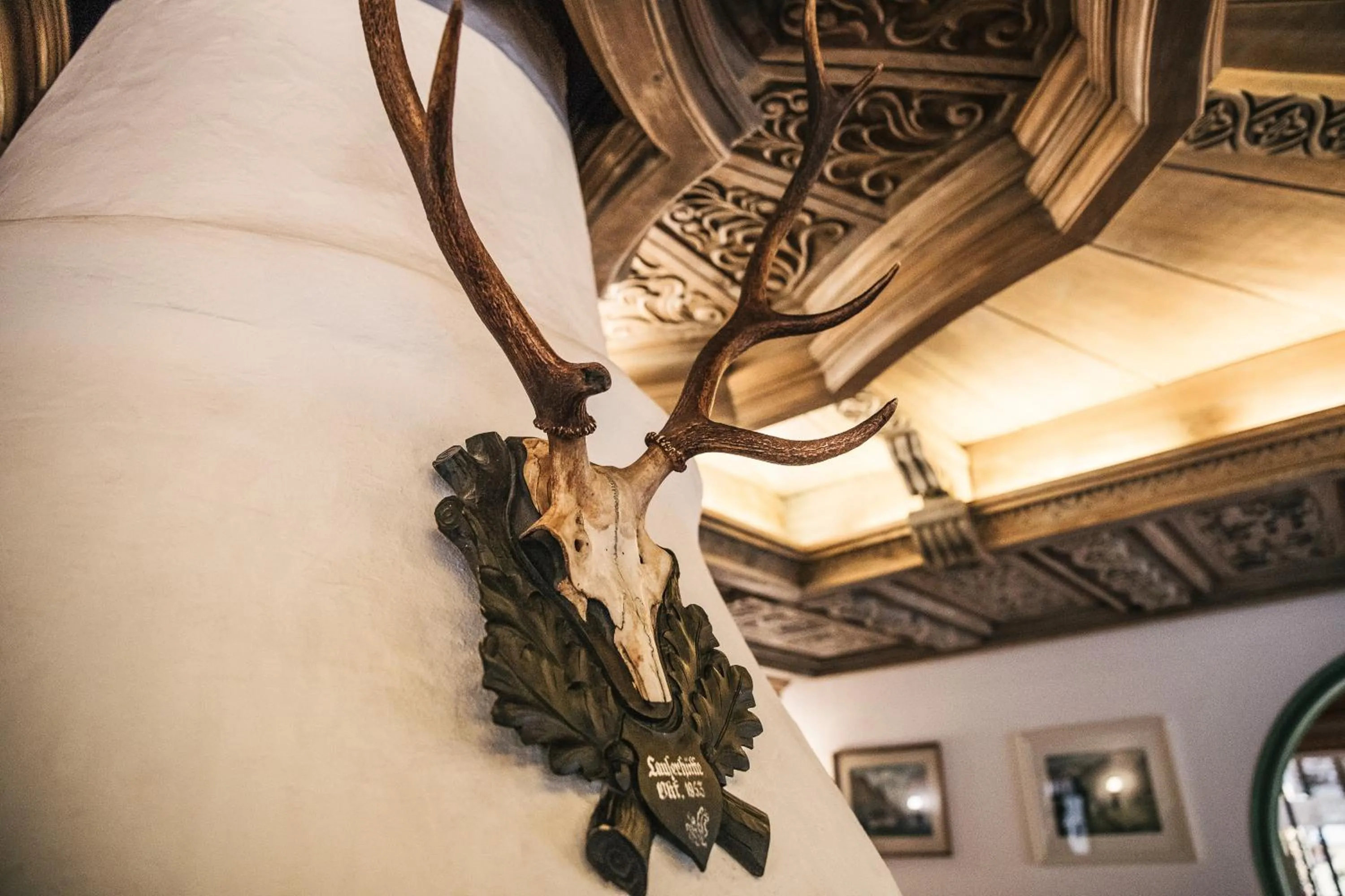 Lounge or bar in Hotel Grieshof