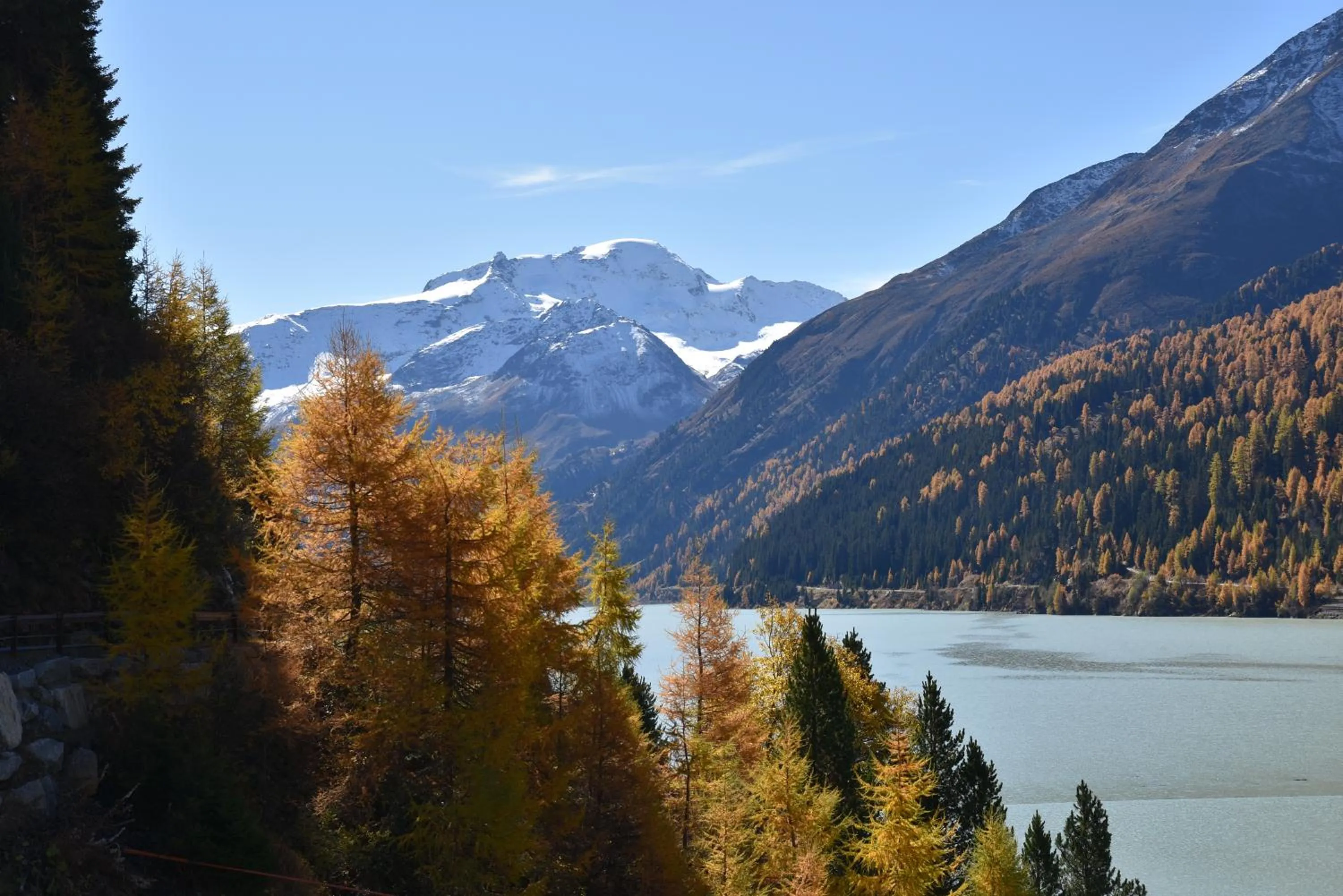 Natural landscape in Haus Bergfrieden