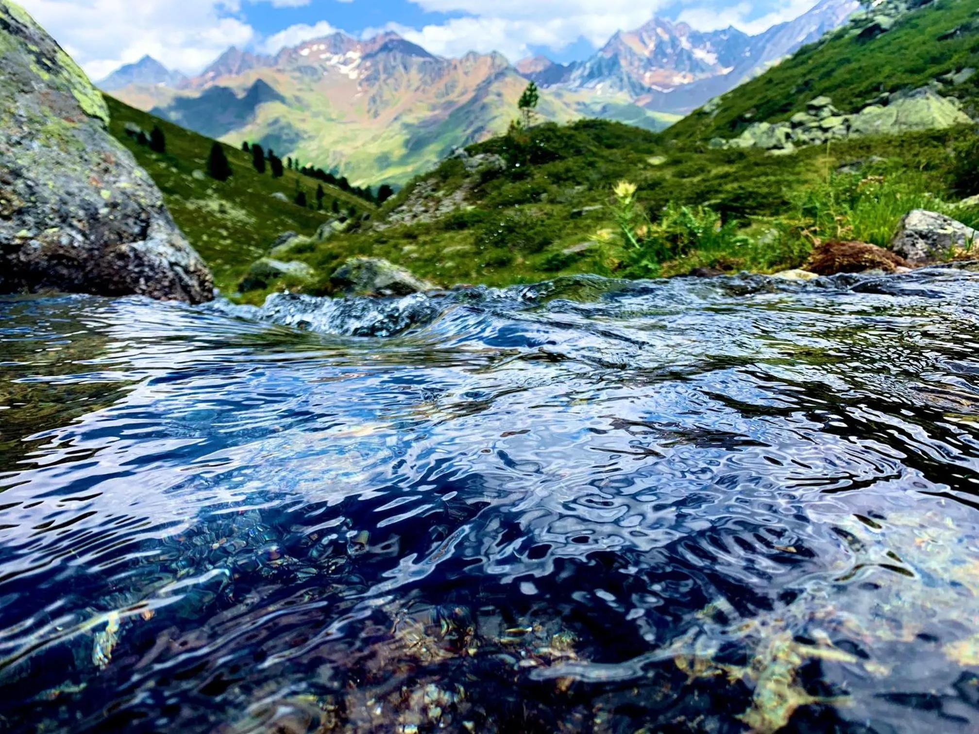 Natural landscape in Haus Bergfrieden