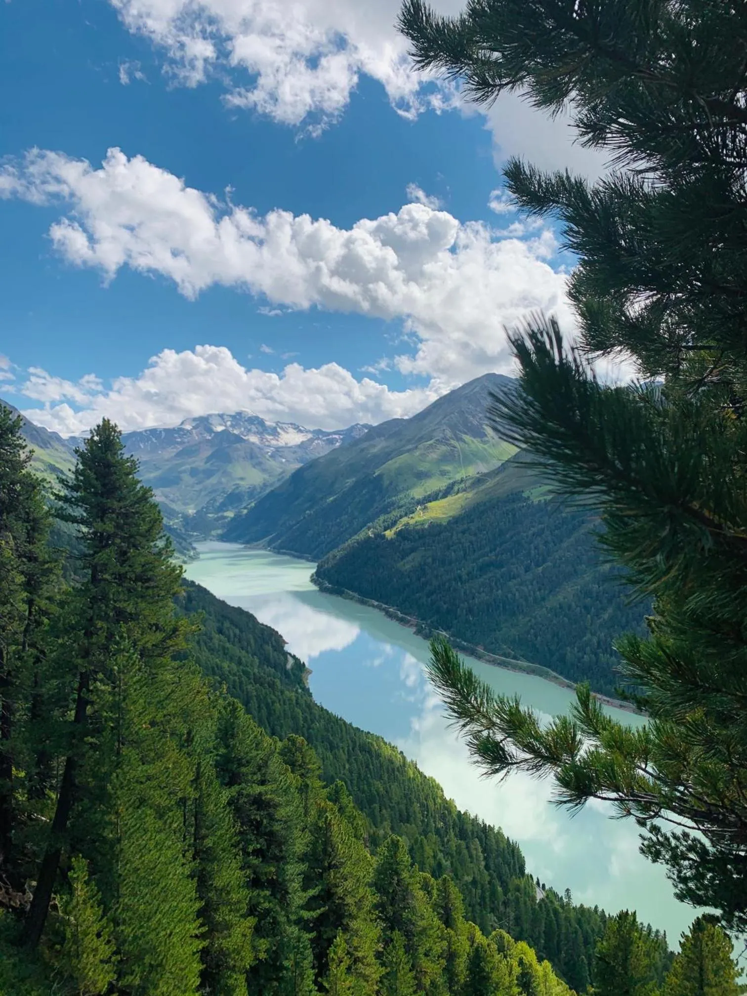 Natural landscape in Haus Bergfrieden