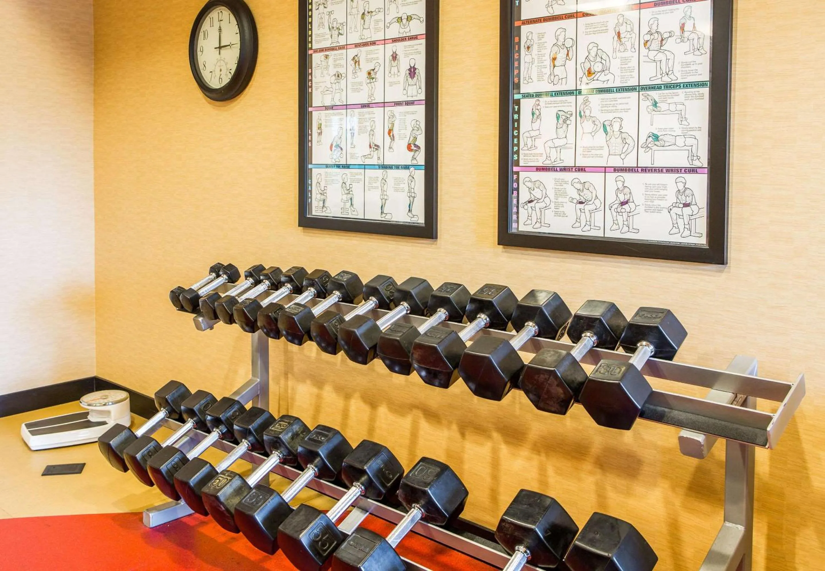 Fitness centre/facilities in Cambria Hotel Raleigh-Durham Airport
