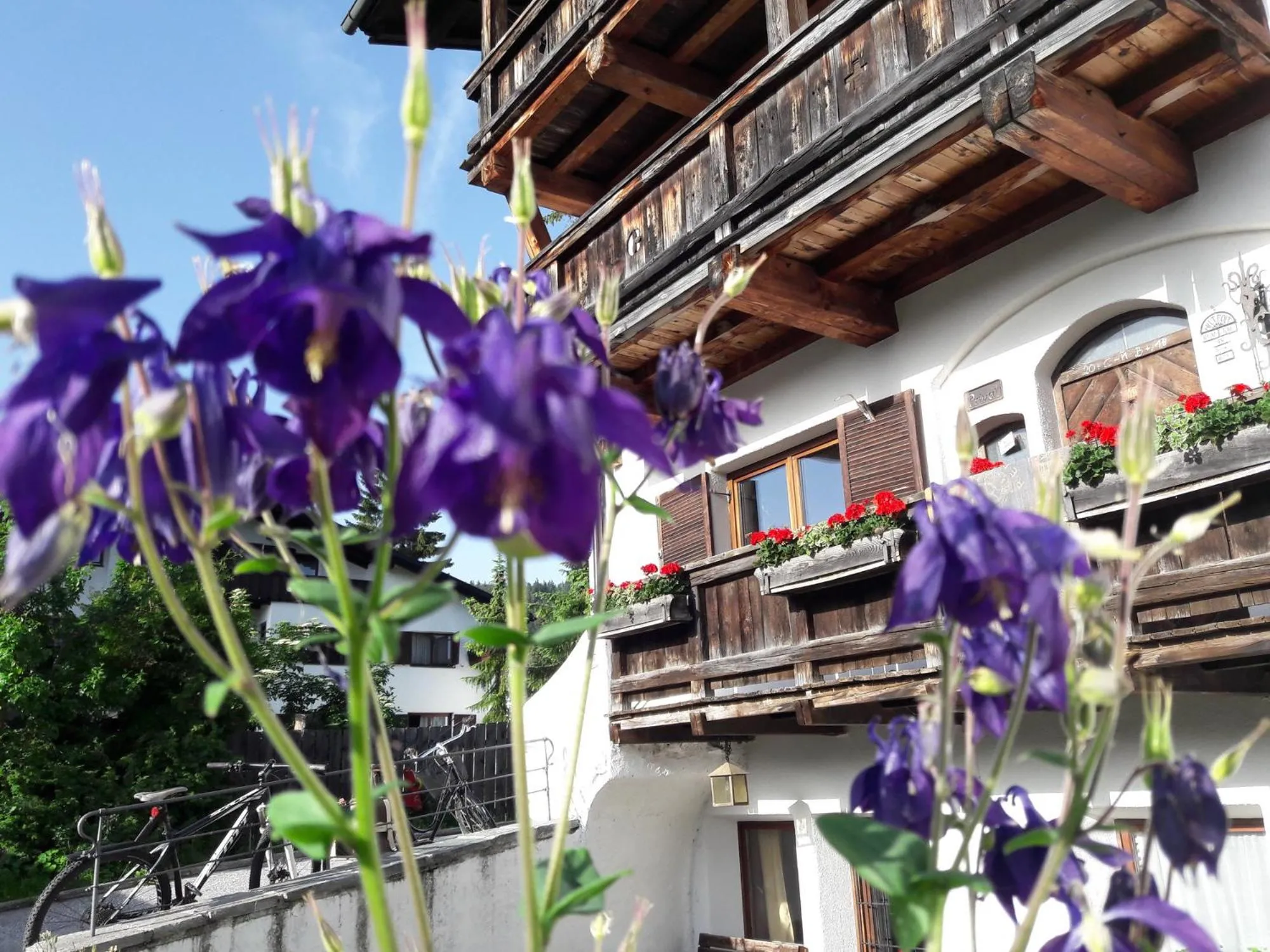 Summer in Schmiedhof